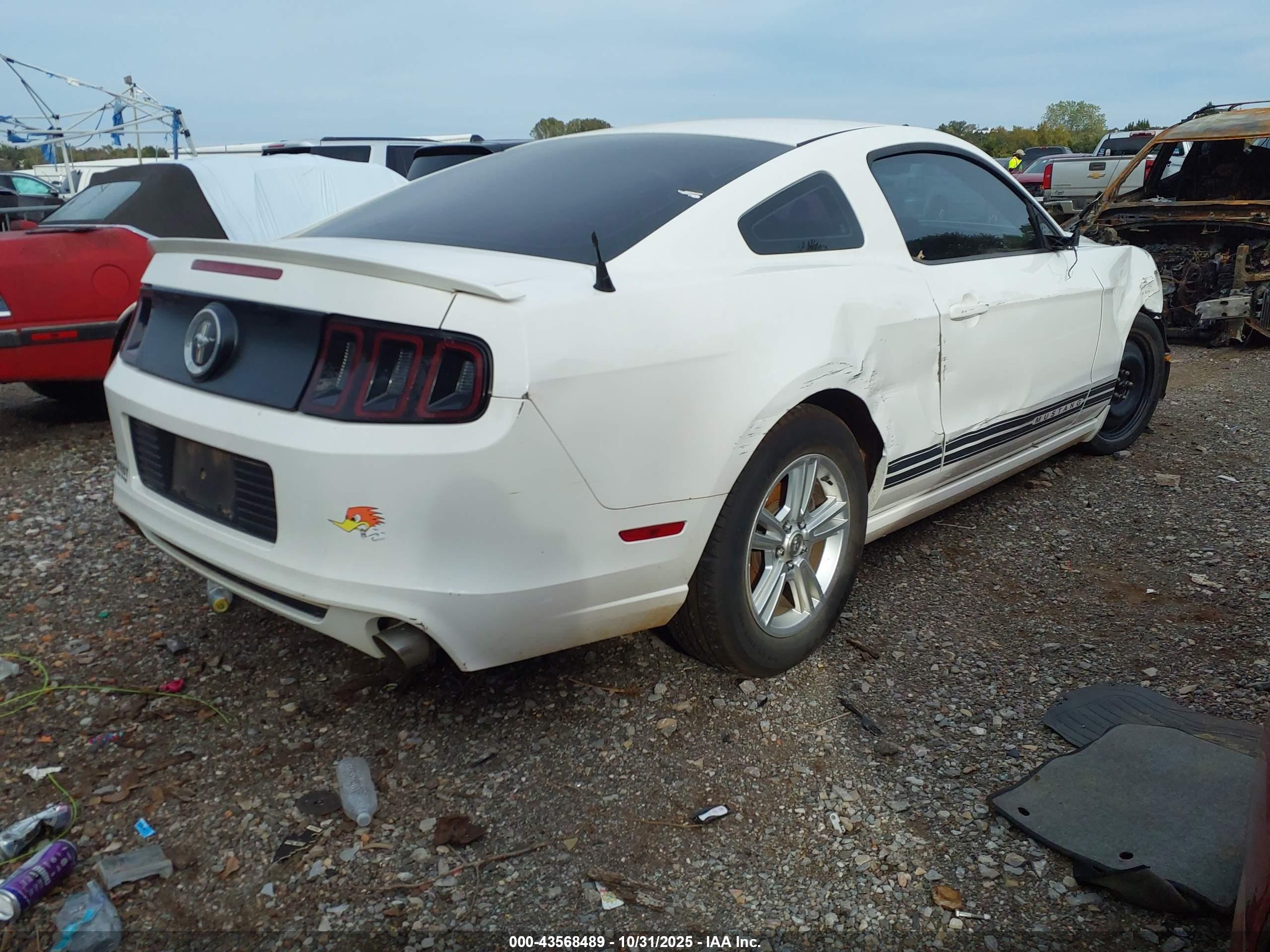 FORD MUSTANG image 4