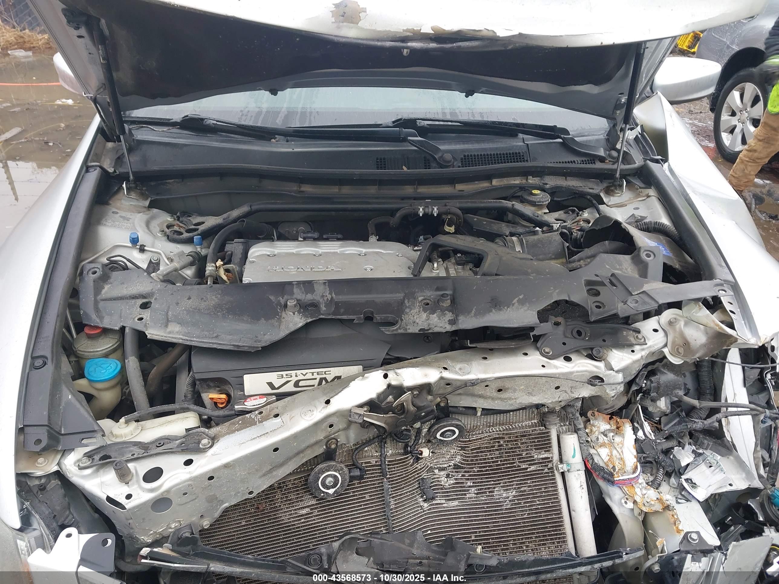 HONDA ACCORD image 10