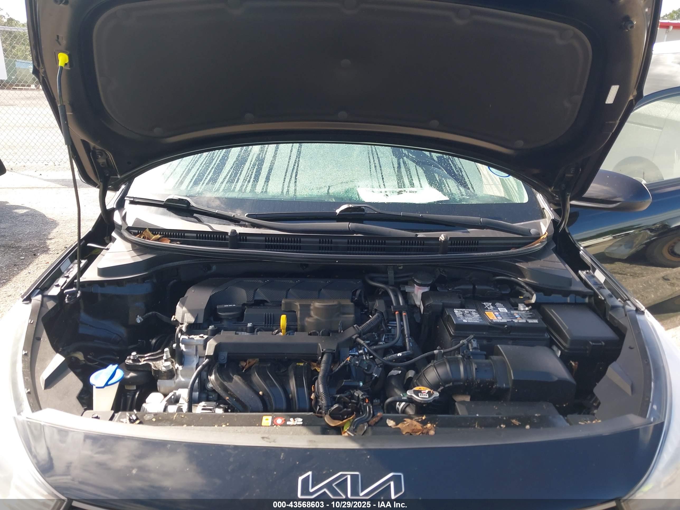 KIA RIO image 10