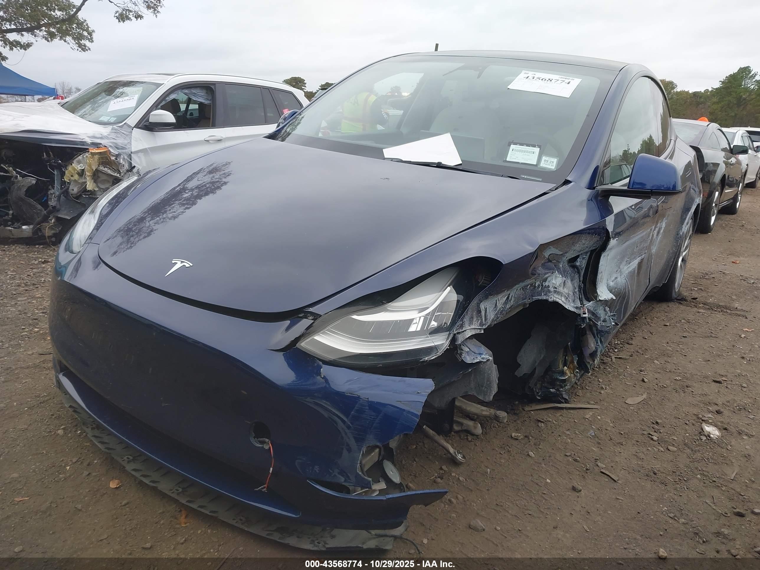 TESLA MODEL image 6