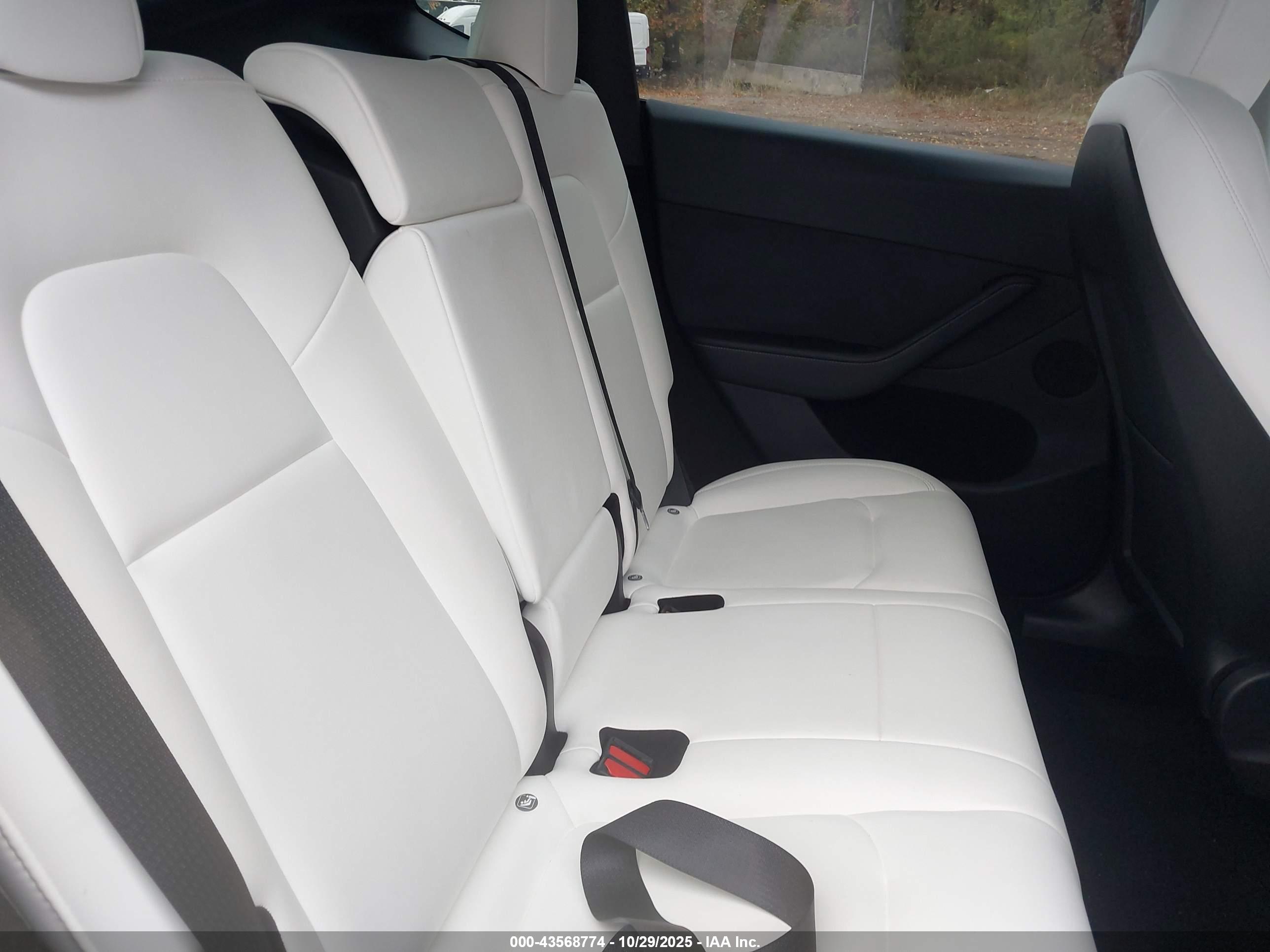 TESLA MODEL image 8