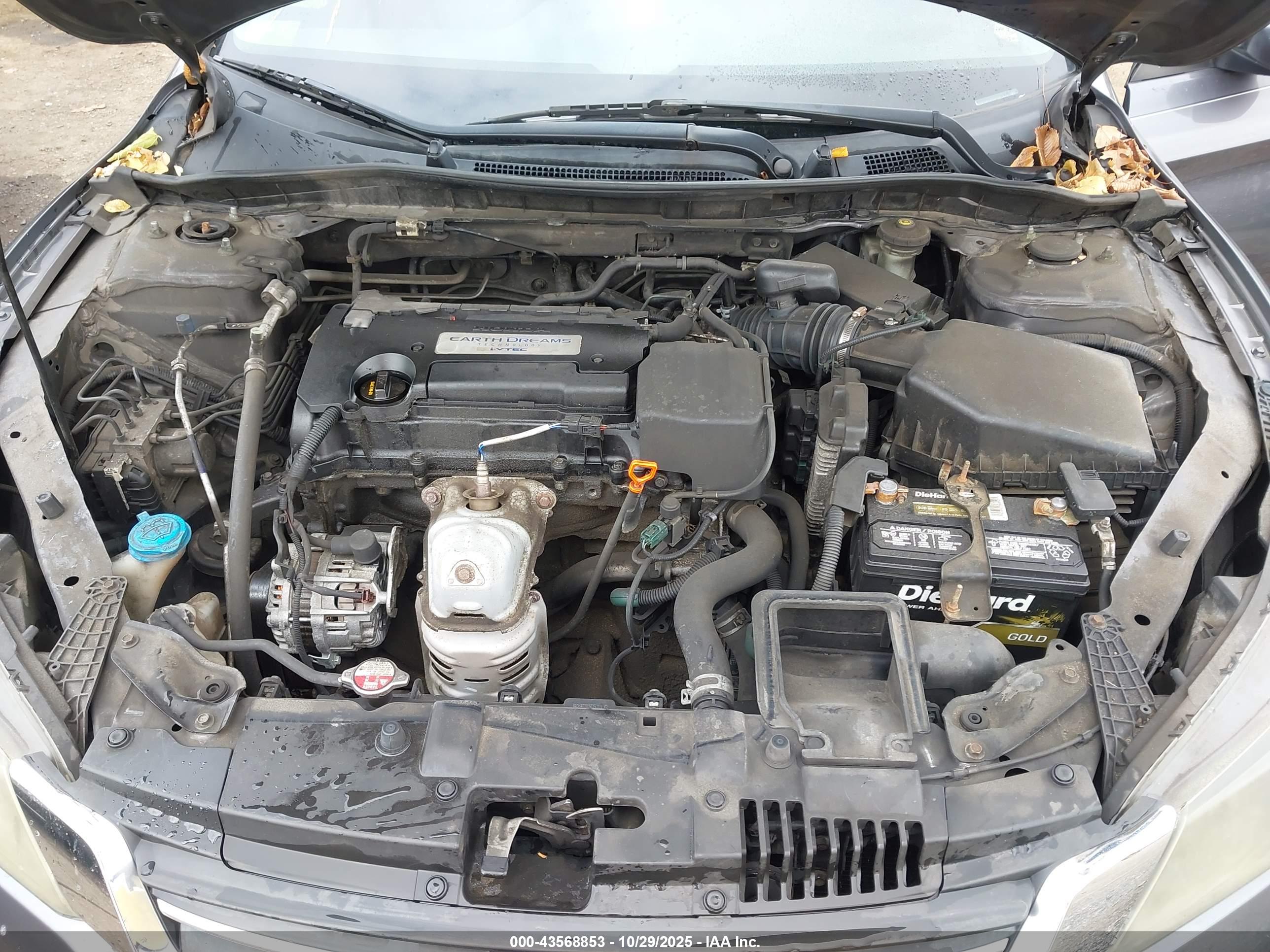 HONDA ACCORD image 10