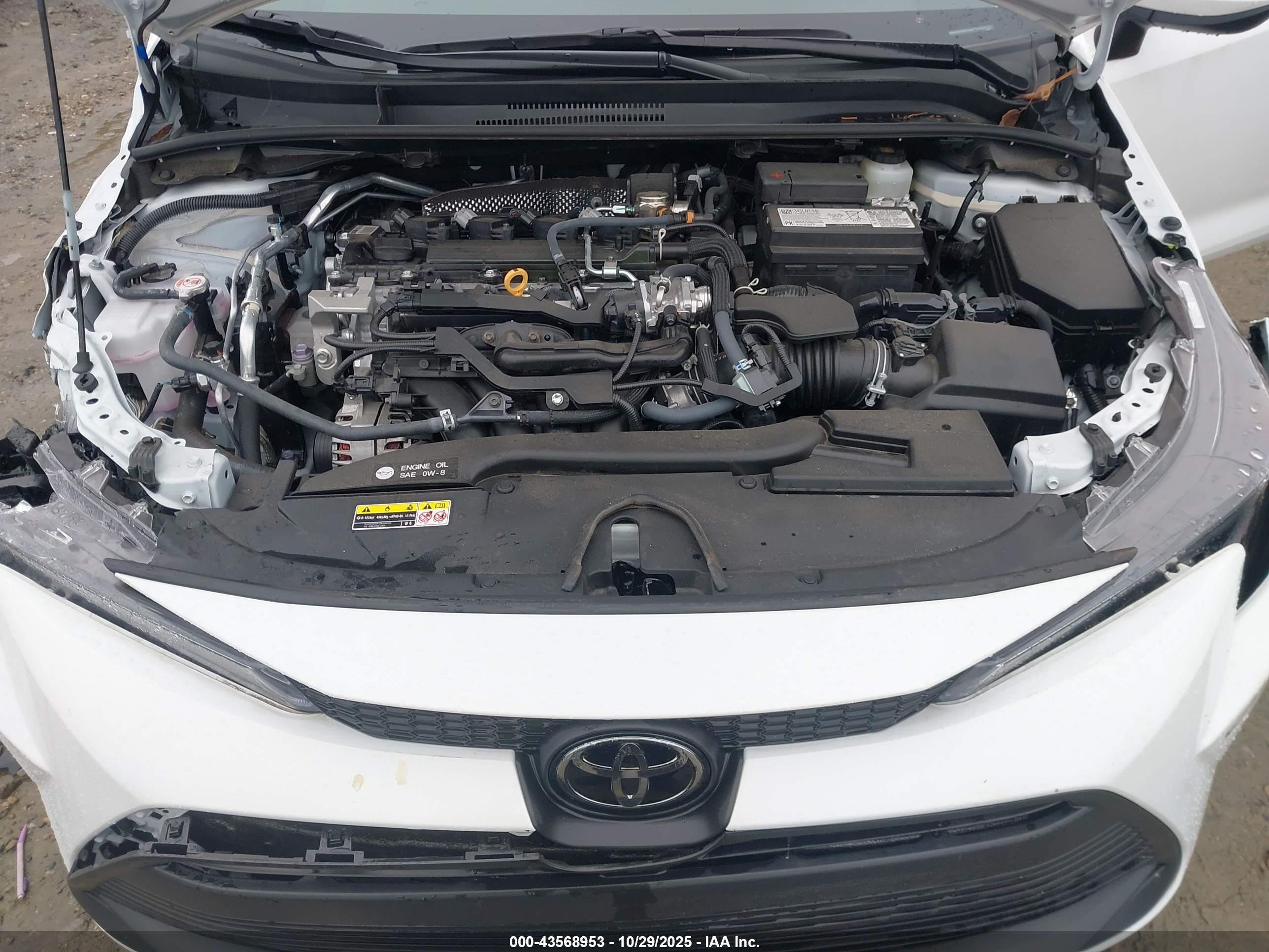 TOYOTA COROLLA image 10