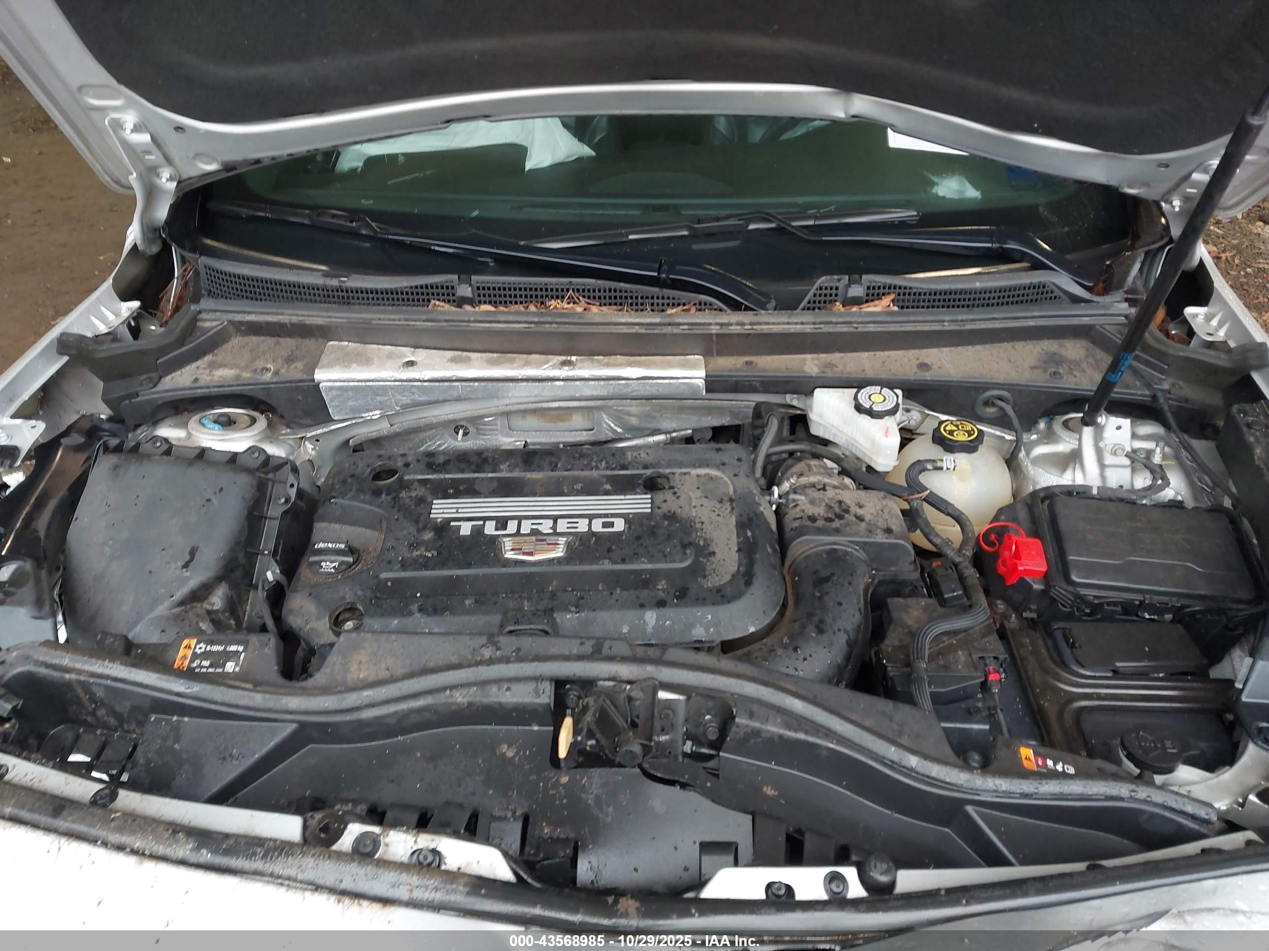 CADILLAC XT4 image 10