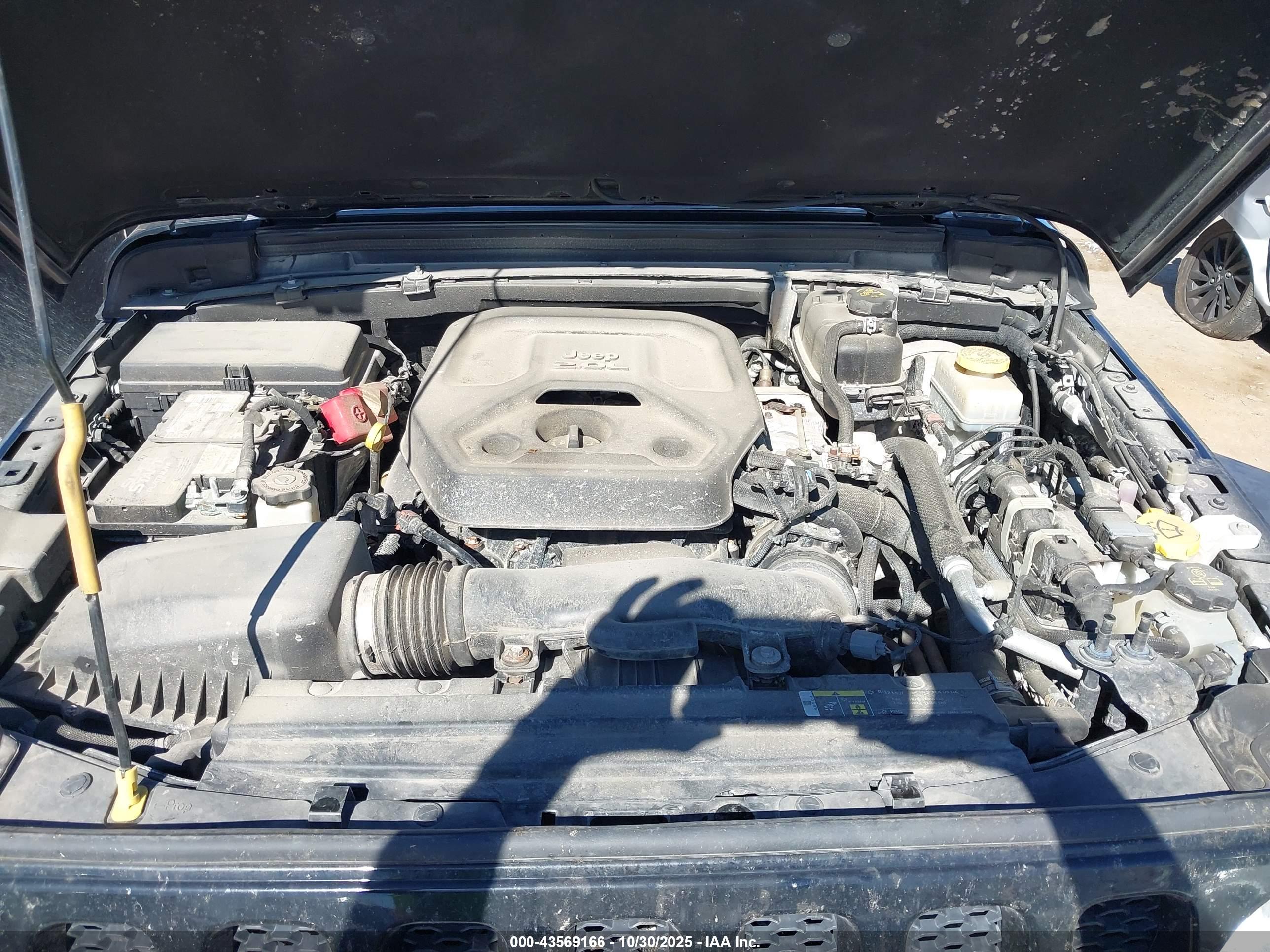 JEEP WRANGLER image 10