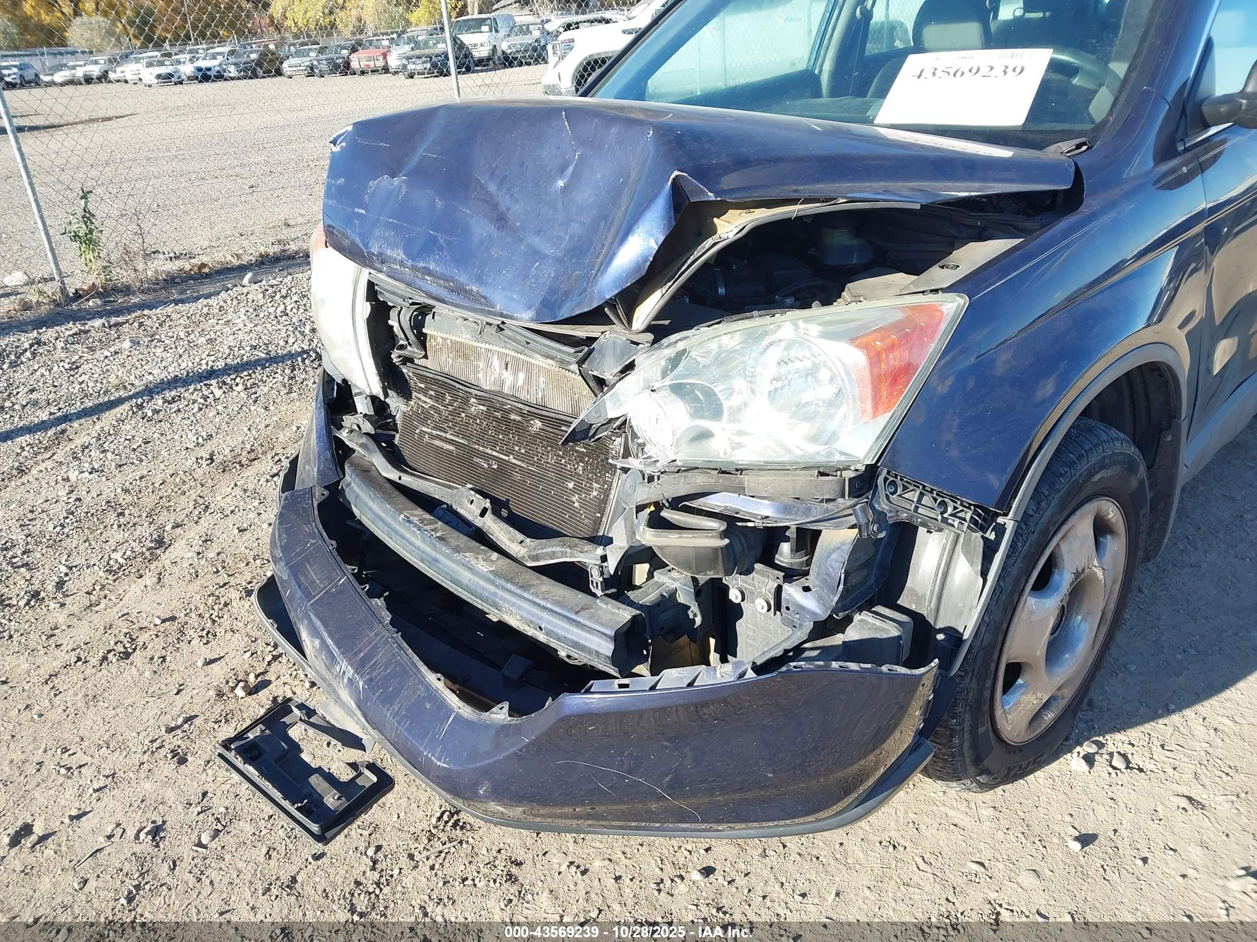 HONDA CR-V image 6
