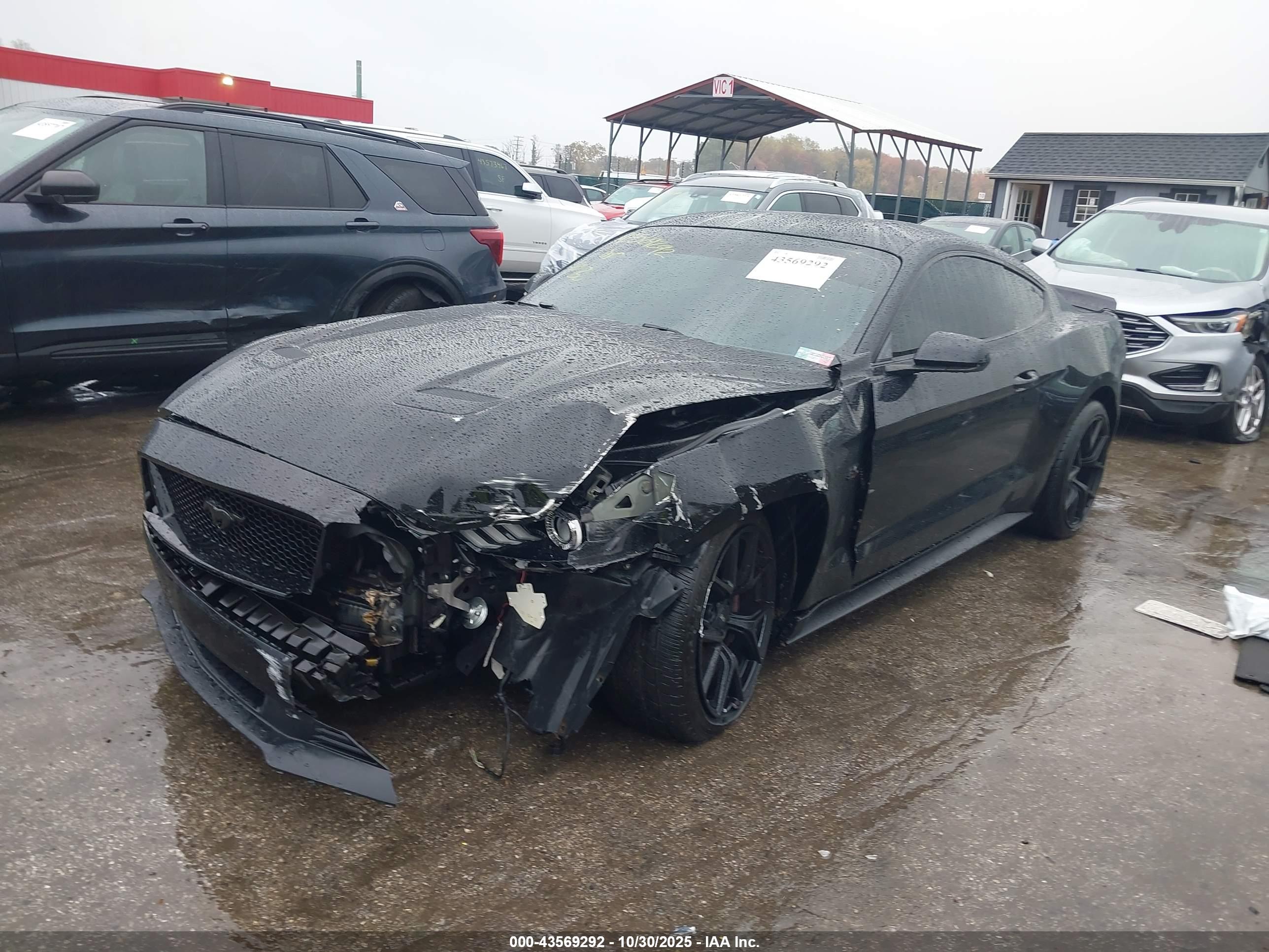 FORD MUSTANG image 2