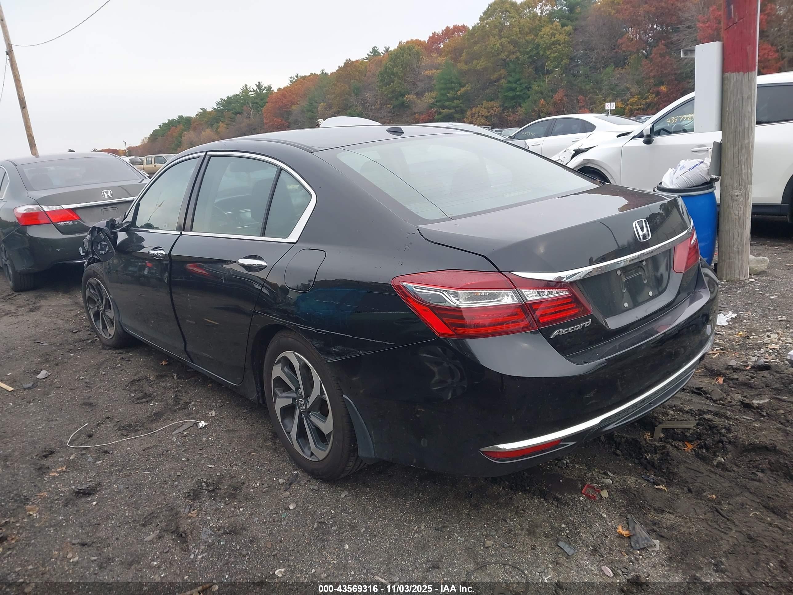 HONDA ACCORD image 3