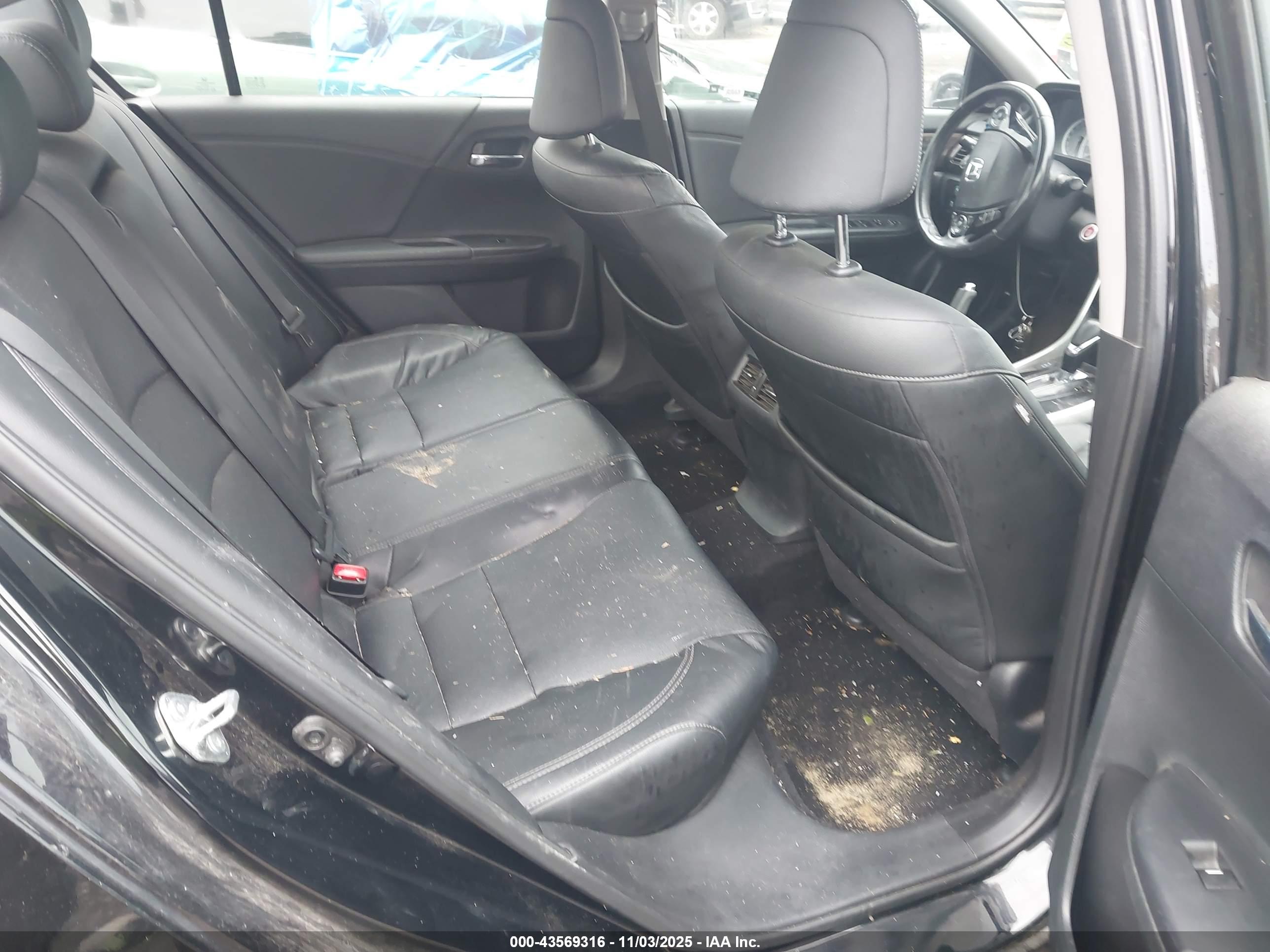 HONDA ACCORD image 8