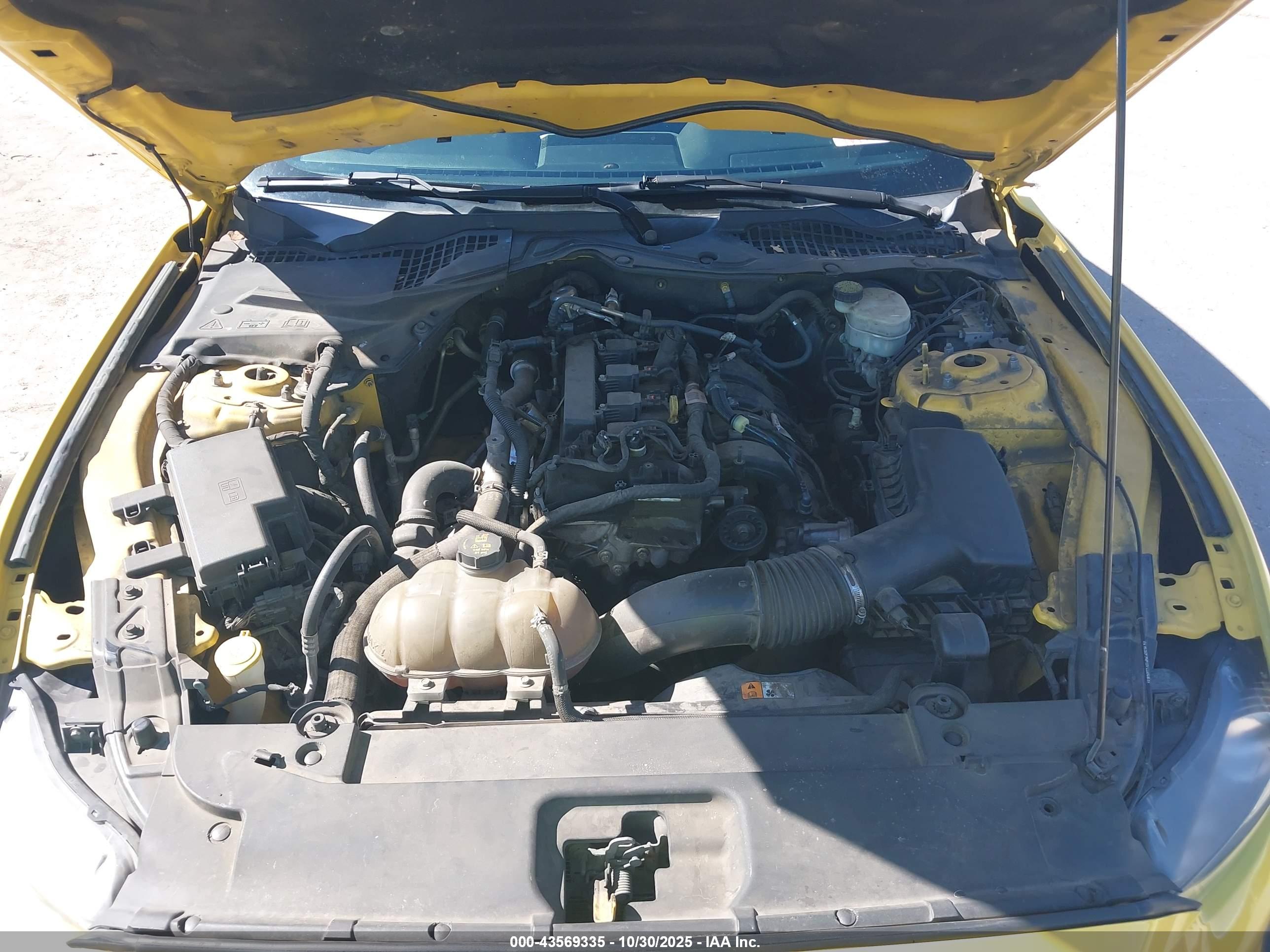 FORD MUSTANG image 10