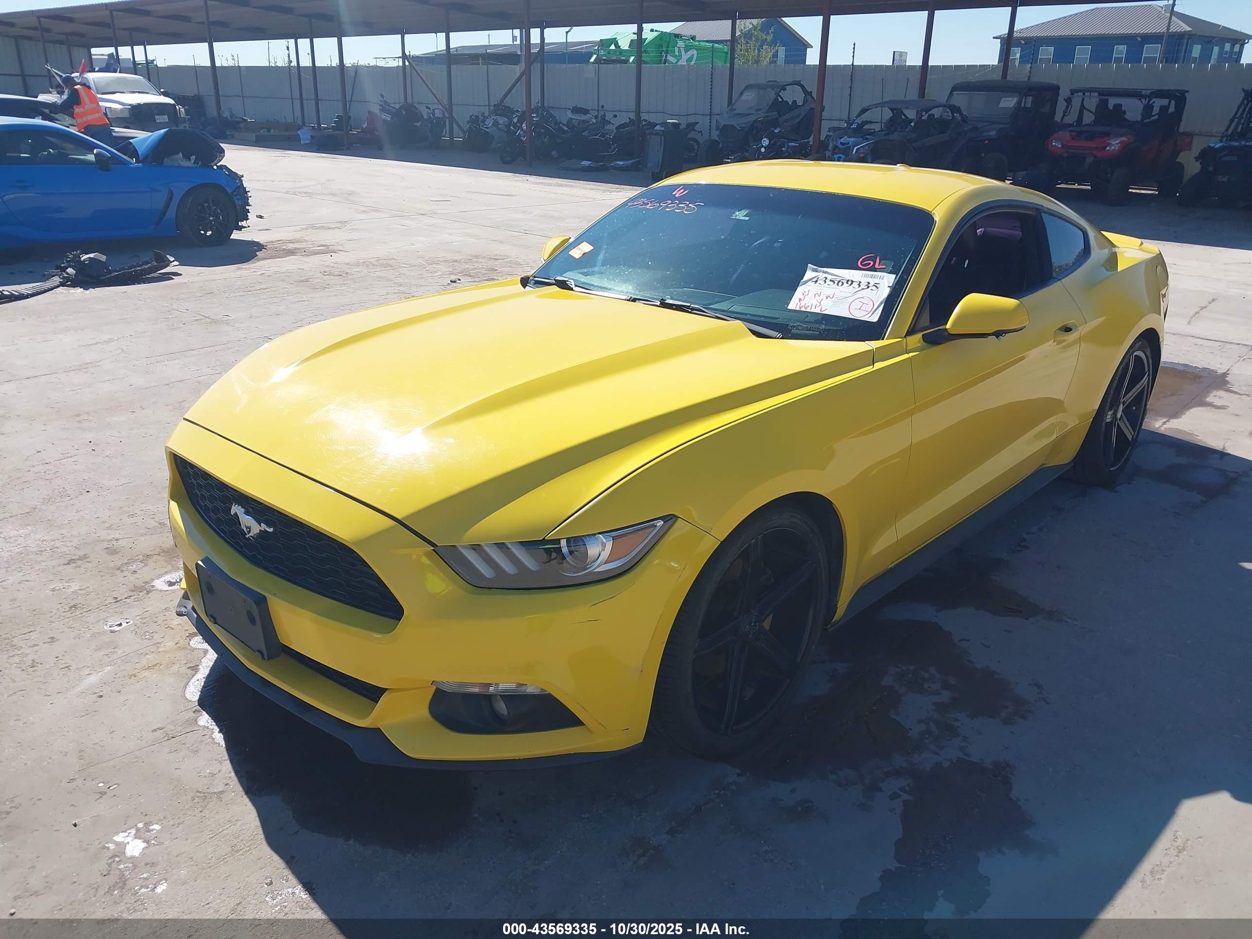 FORD MUSTANG image 2