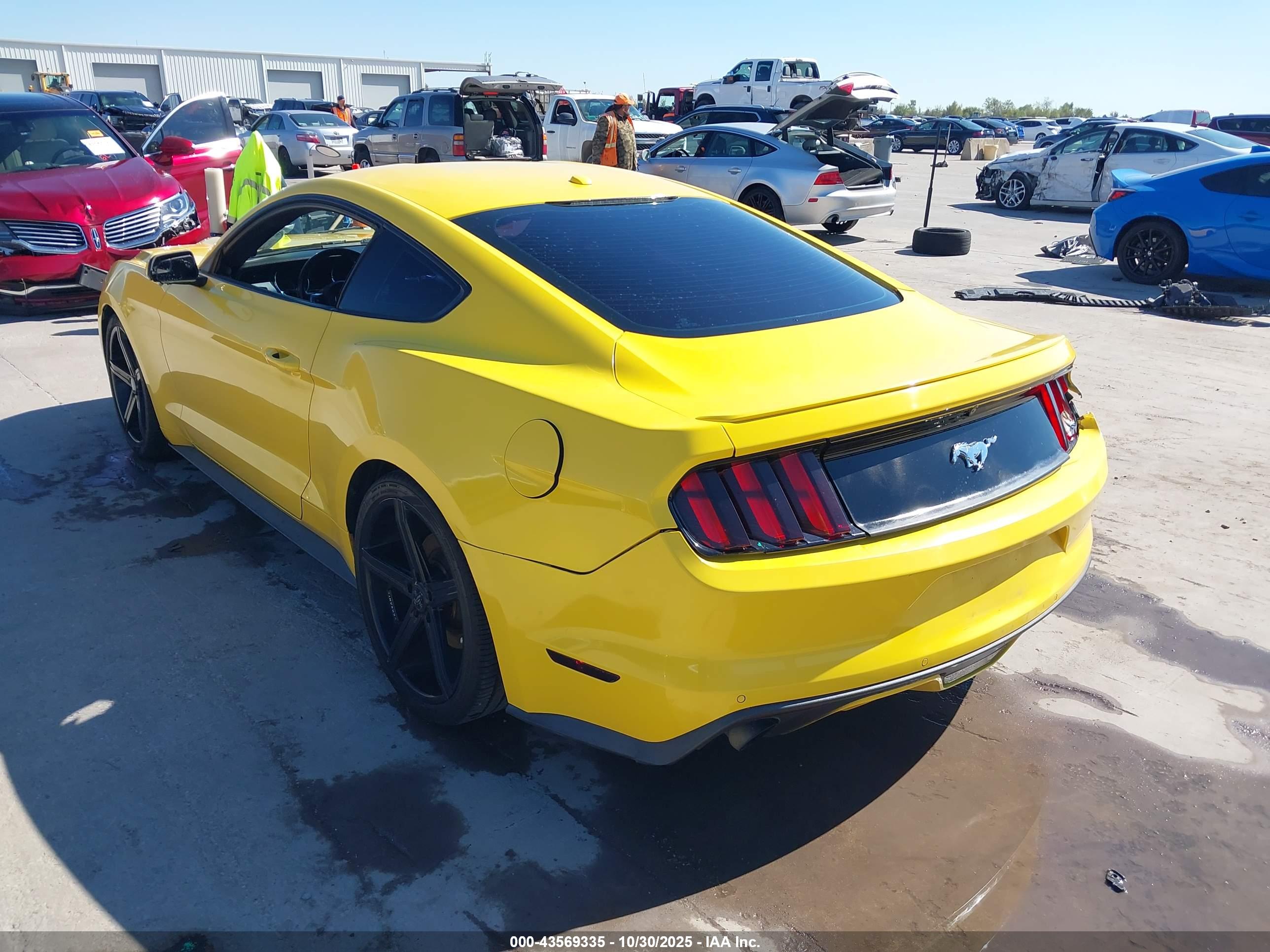 FORD MUSTANG image 3