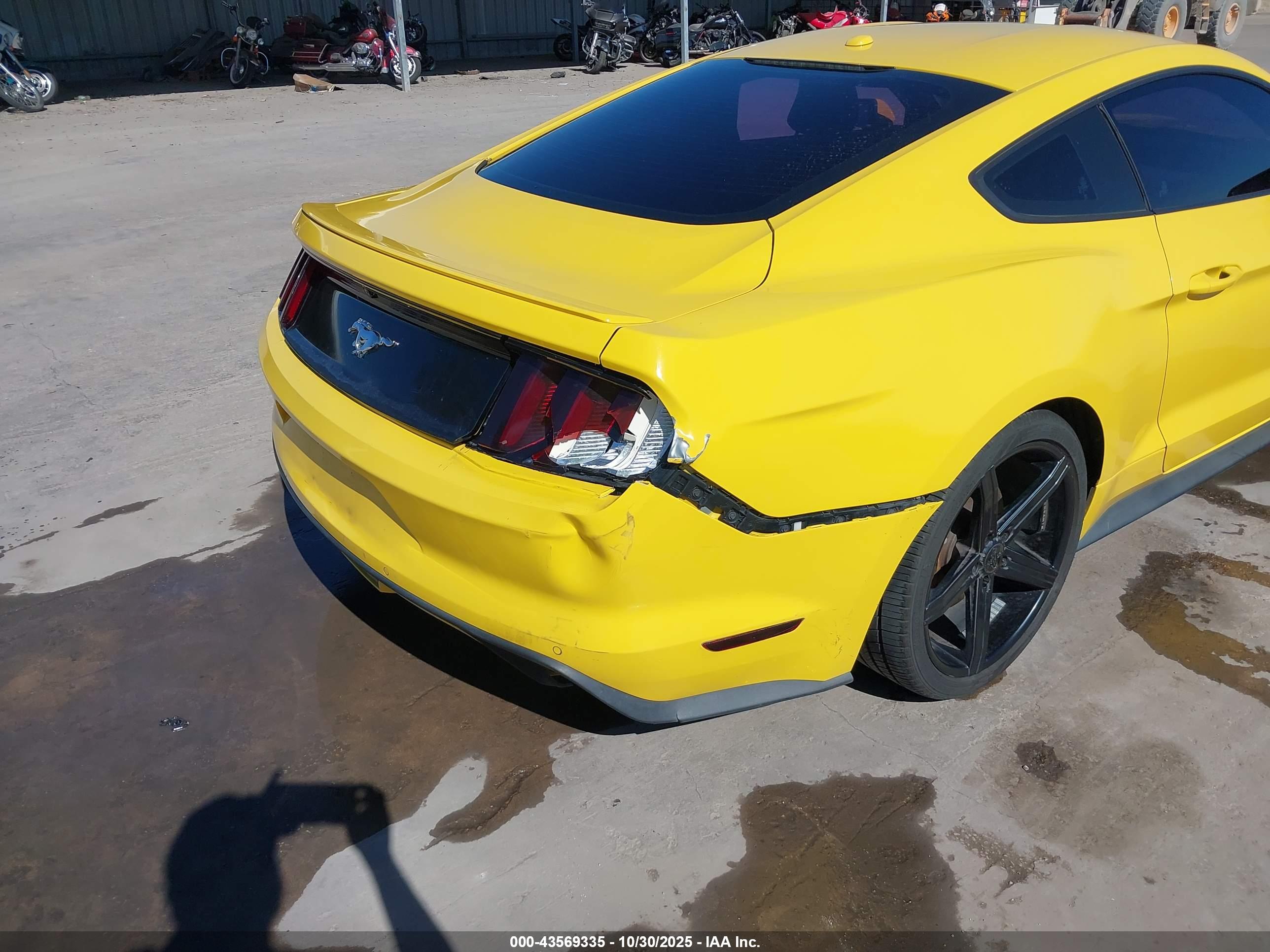 FORD MUSTANG image 6