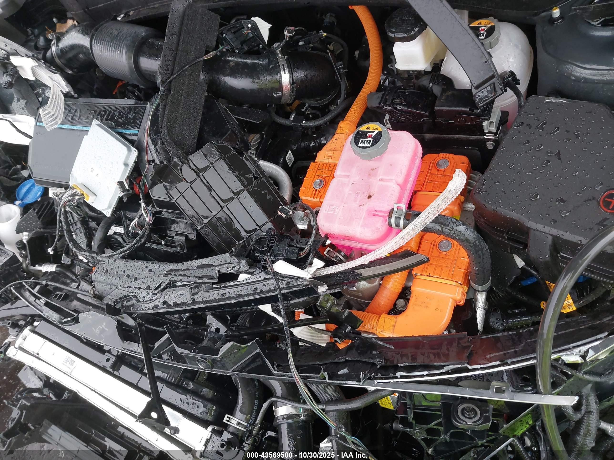 KIA SPORTAGE image 10