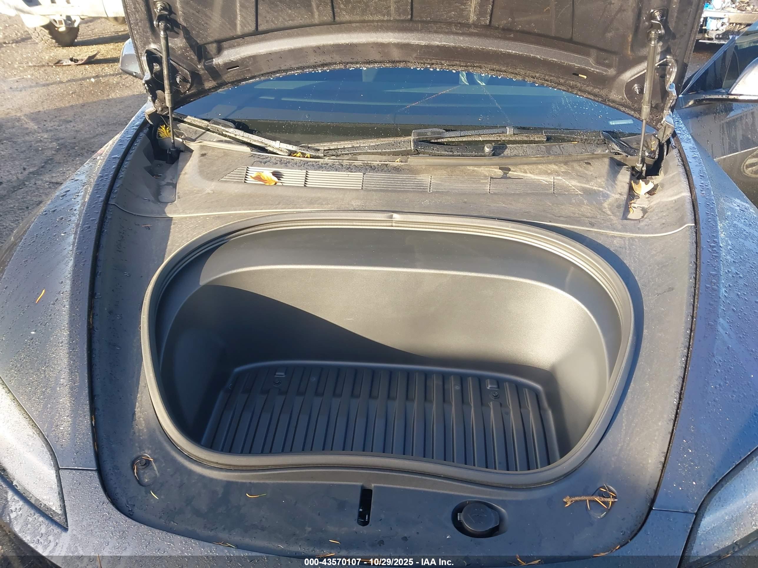 TESLA MODEL image 10