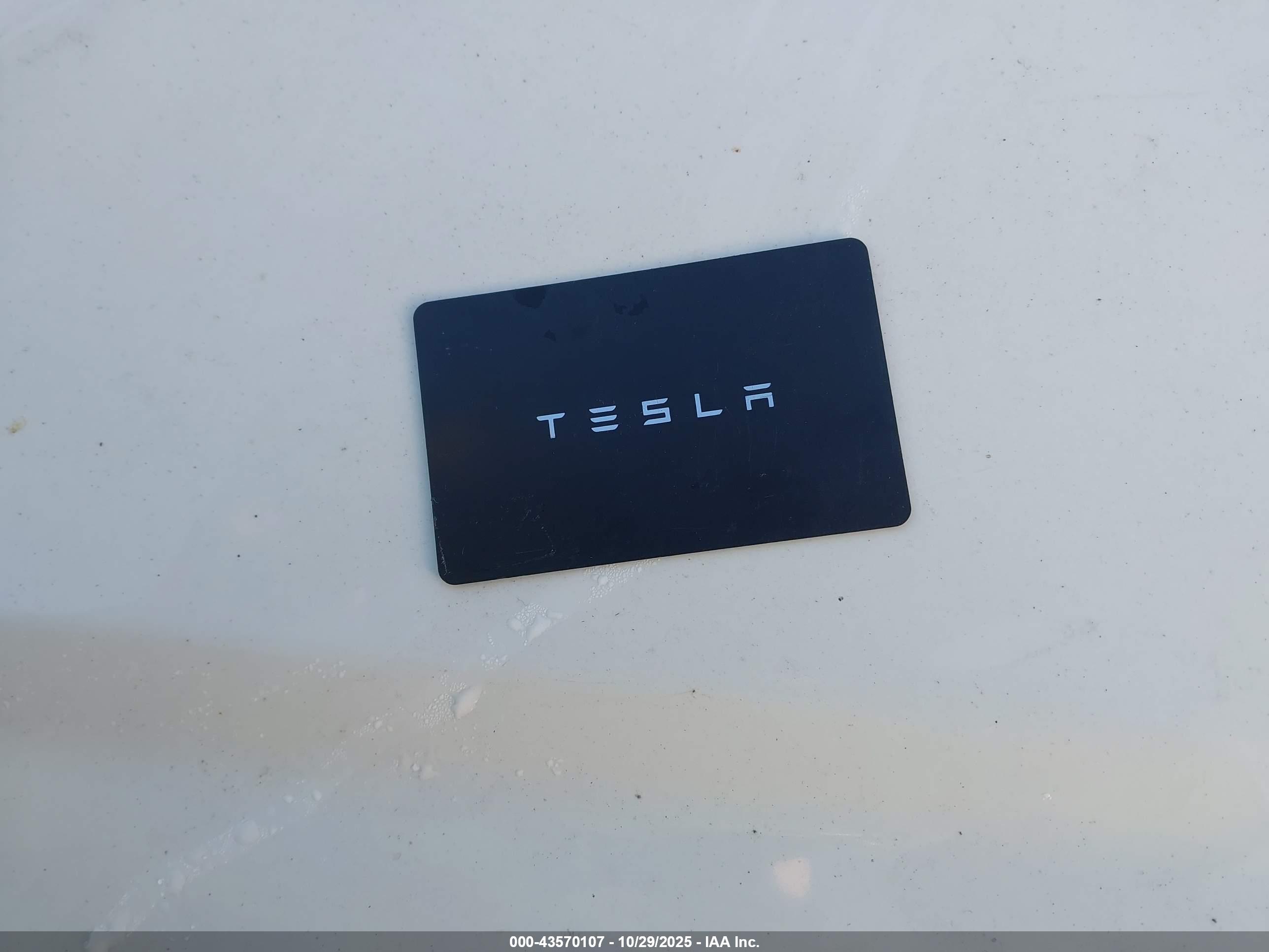 TESLA MODEL image 11
