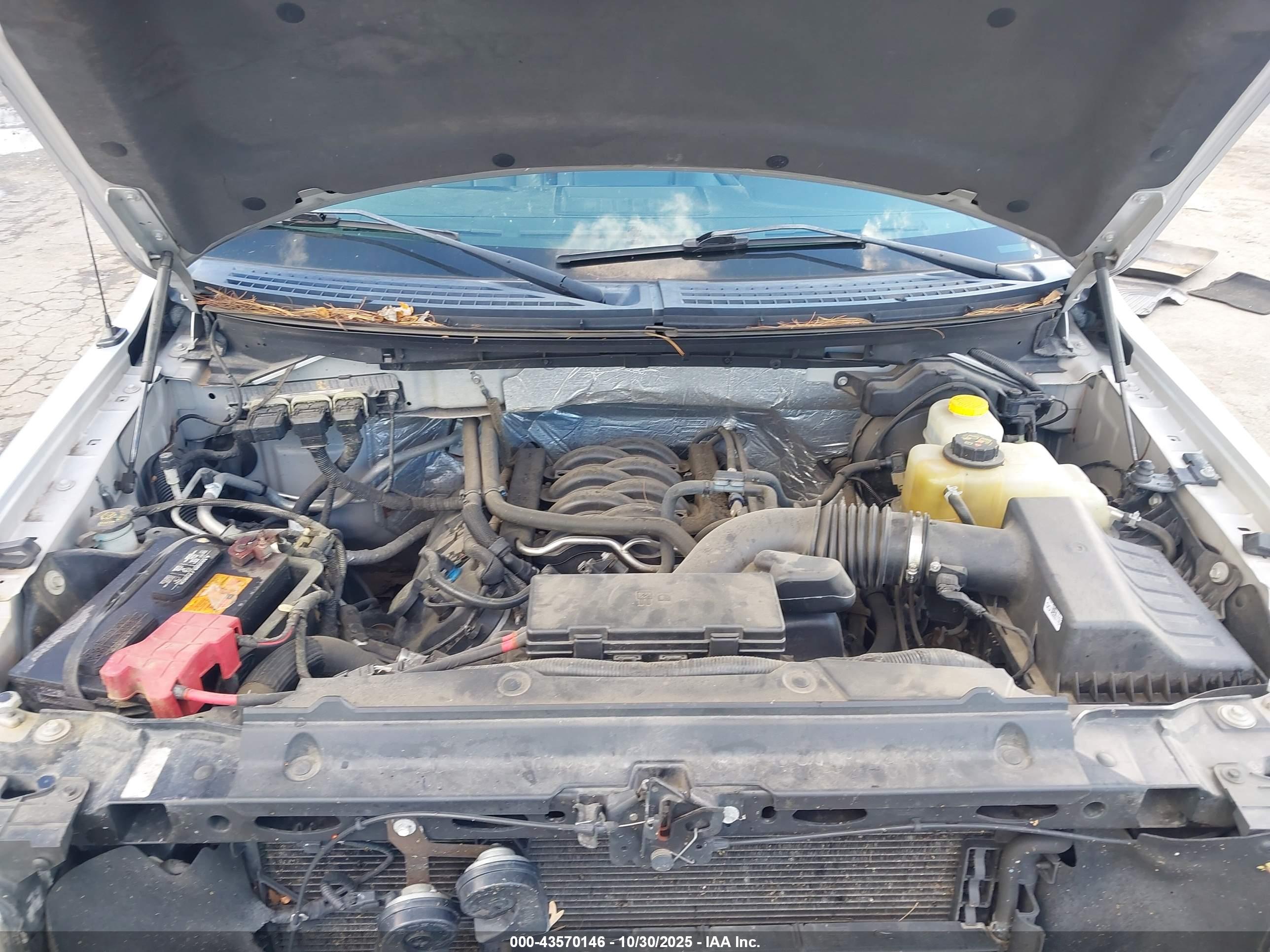 FORD F-150 image 10