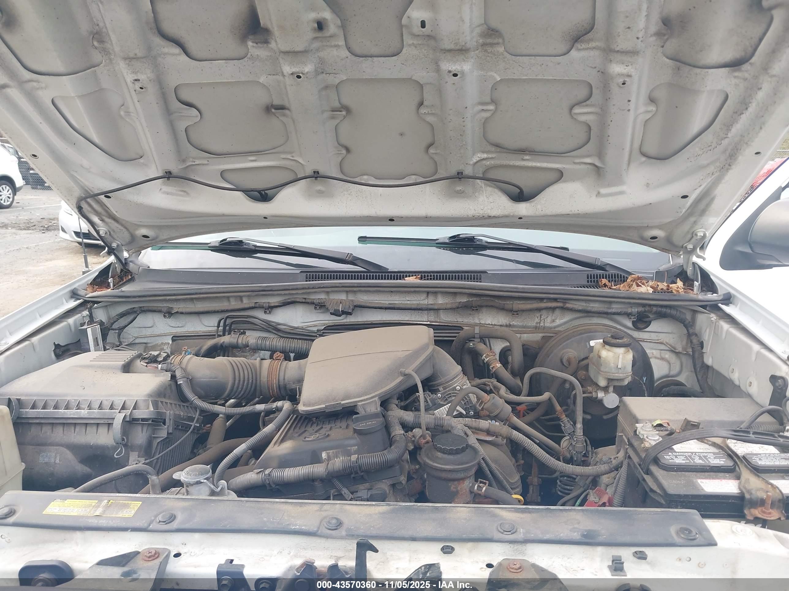 TOYOTA TACOMA image 10