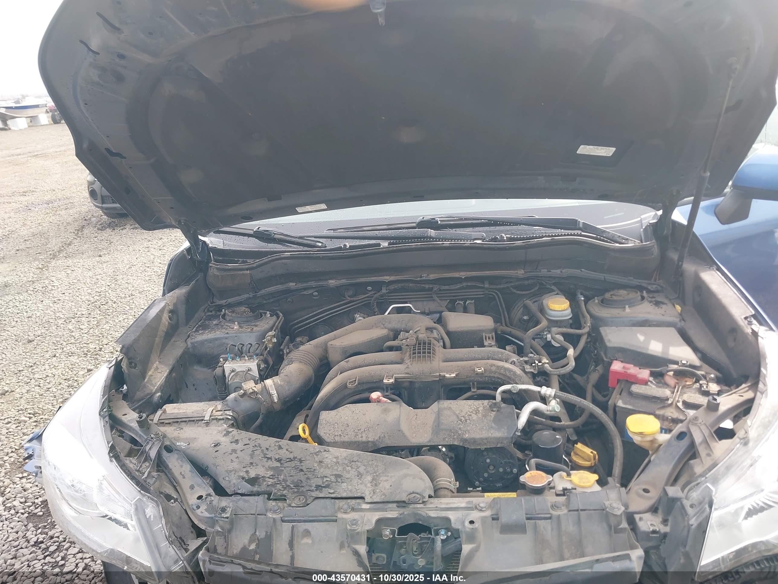 SUBARU FORESTER image 10