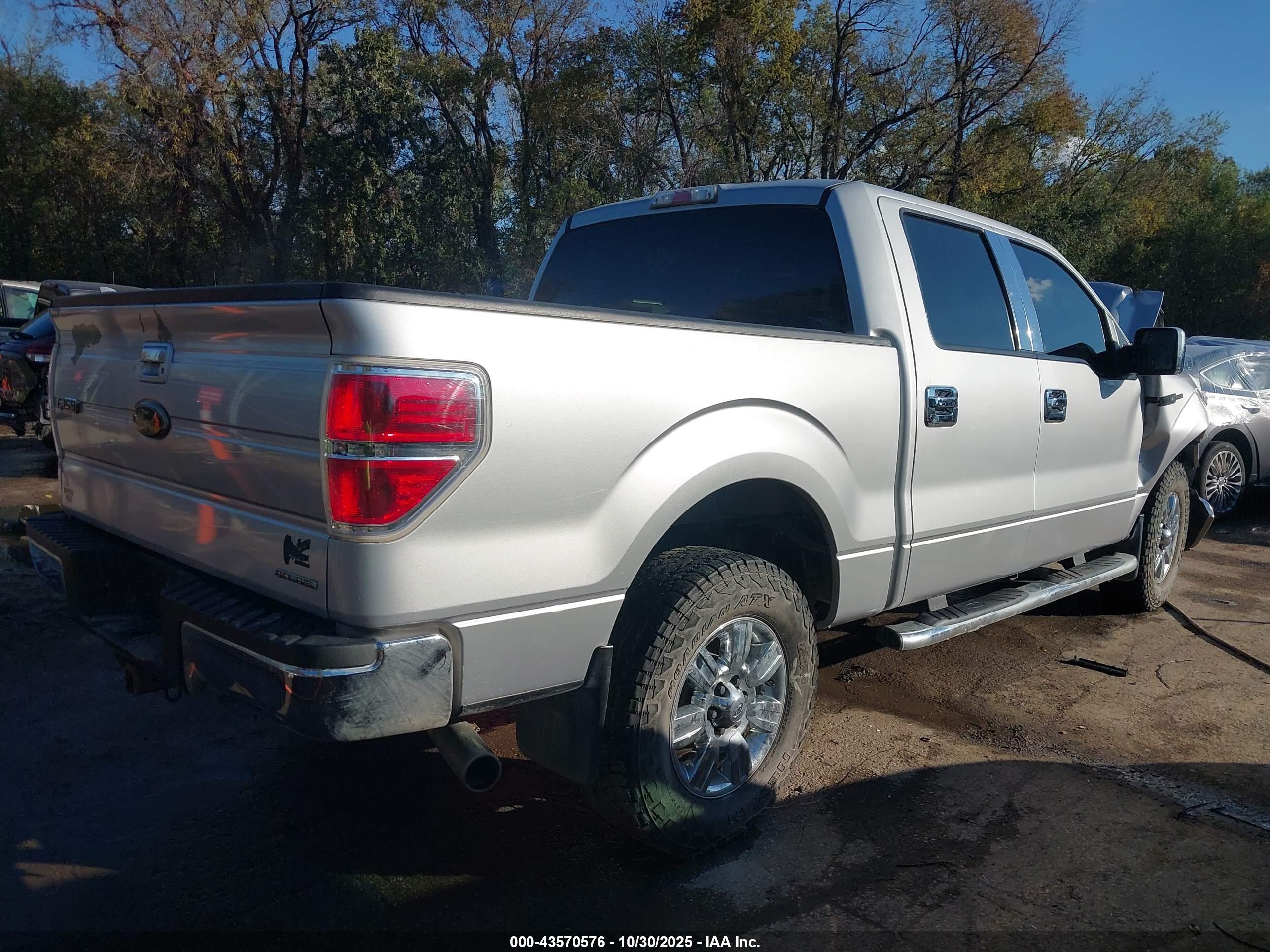 FORD F-150 image 4