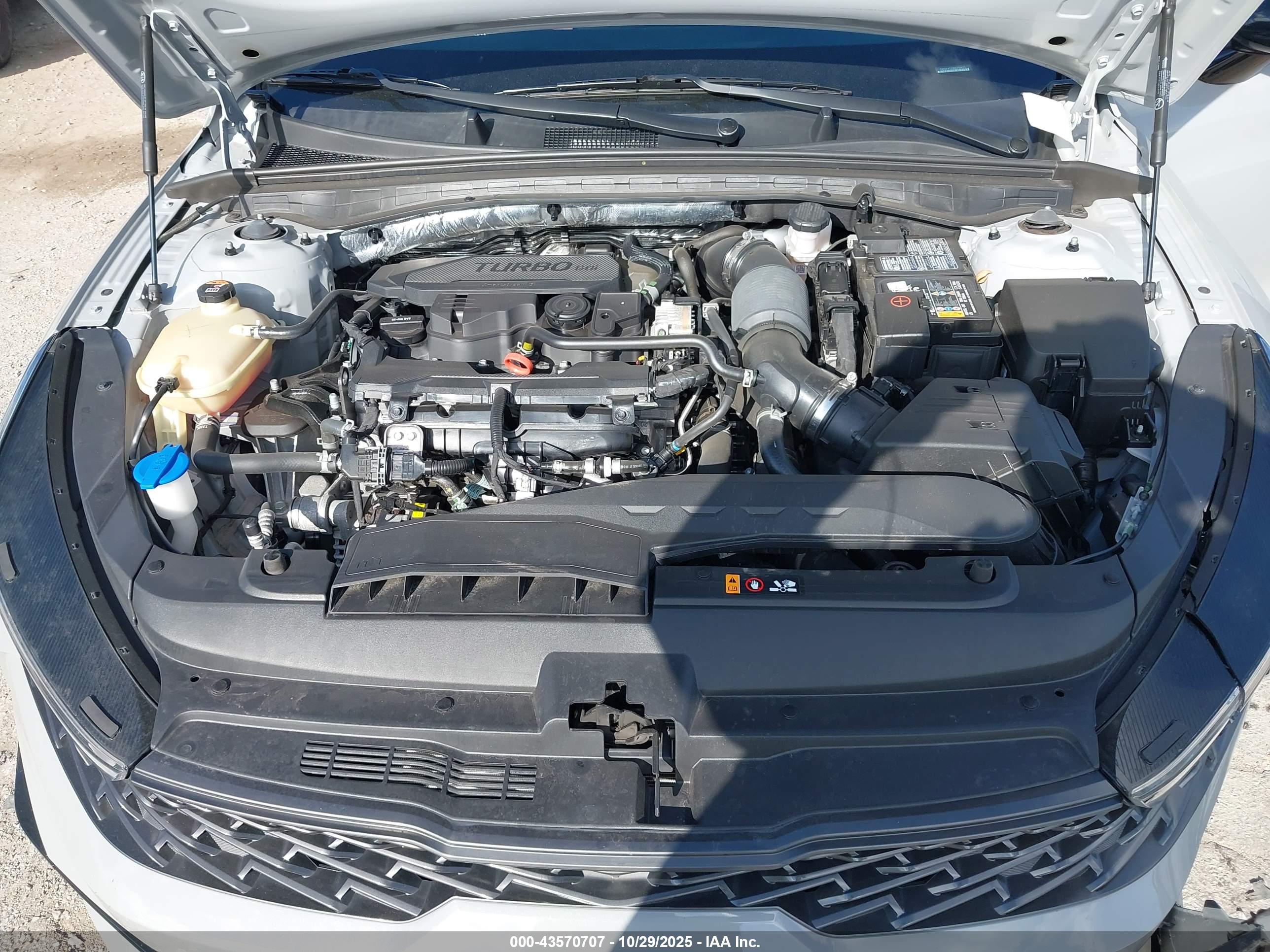 KIA K5 image 10