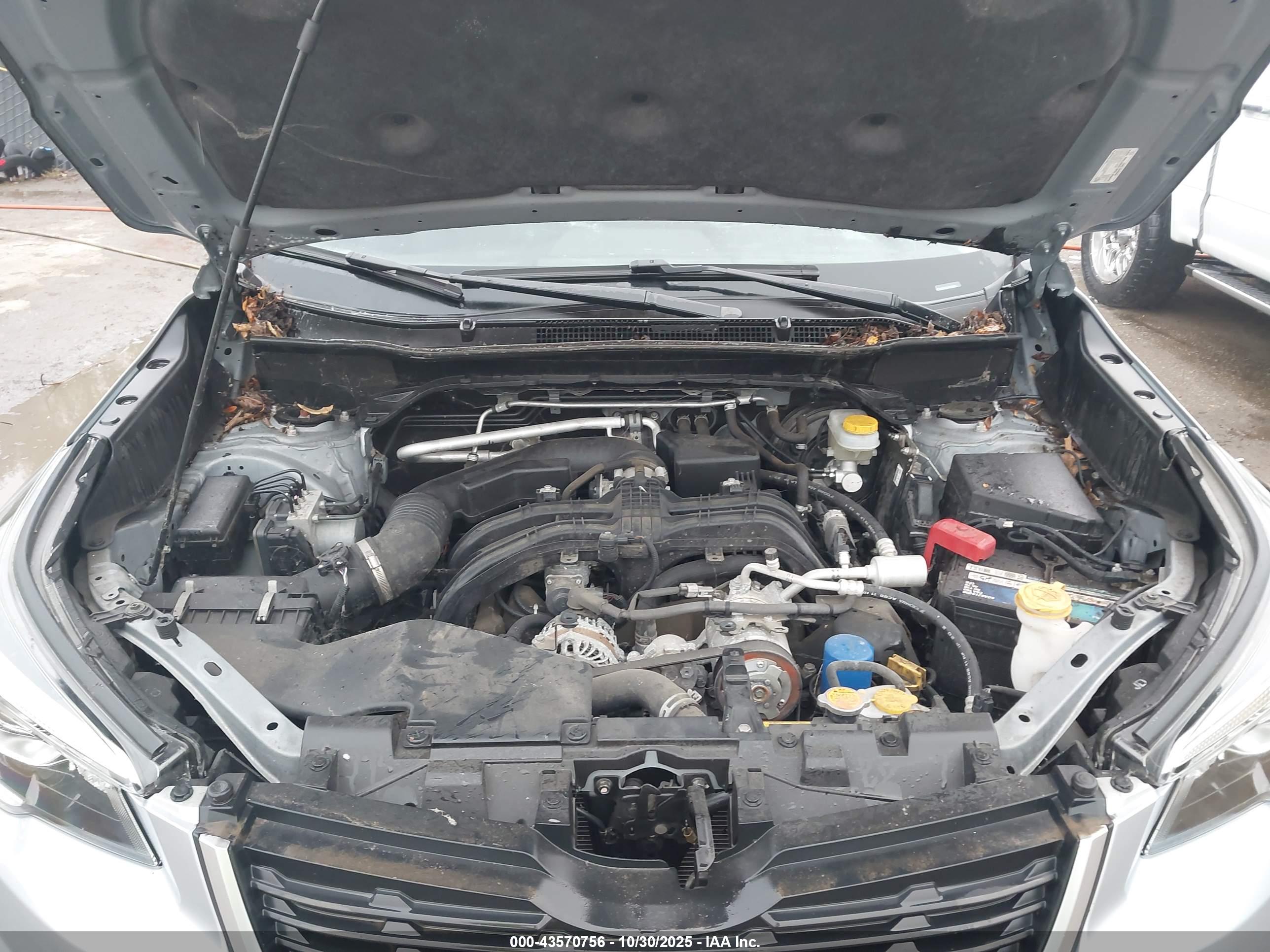 SUBARU FORESTER image 10
