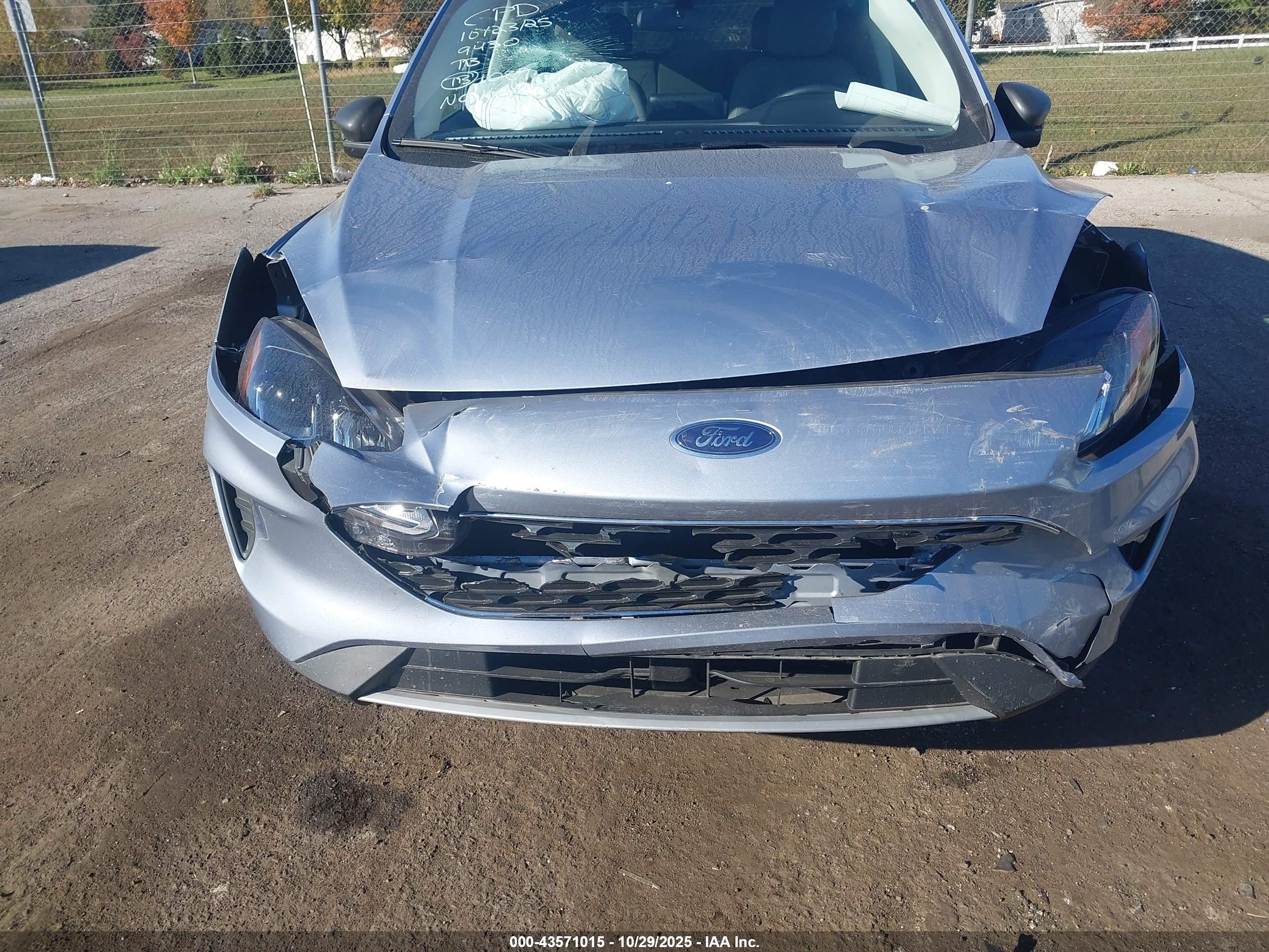 FORD ESCAPE image 6