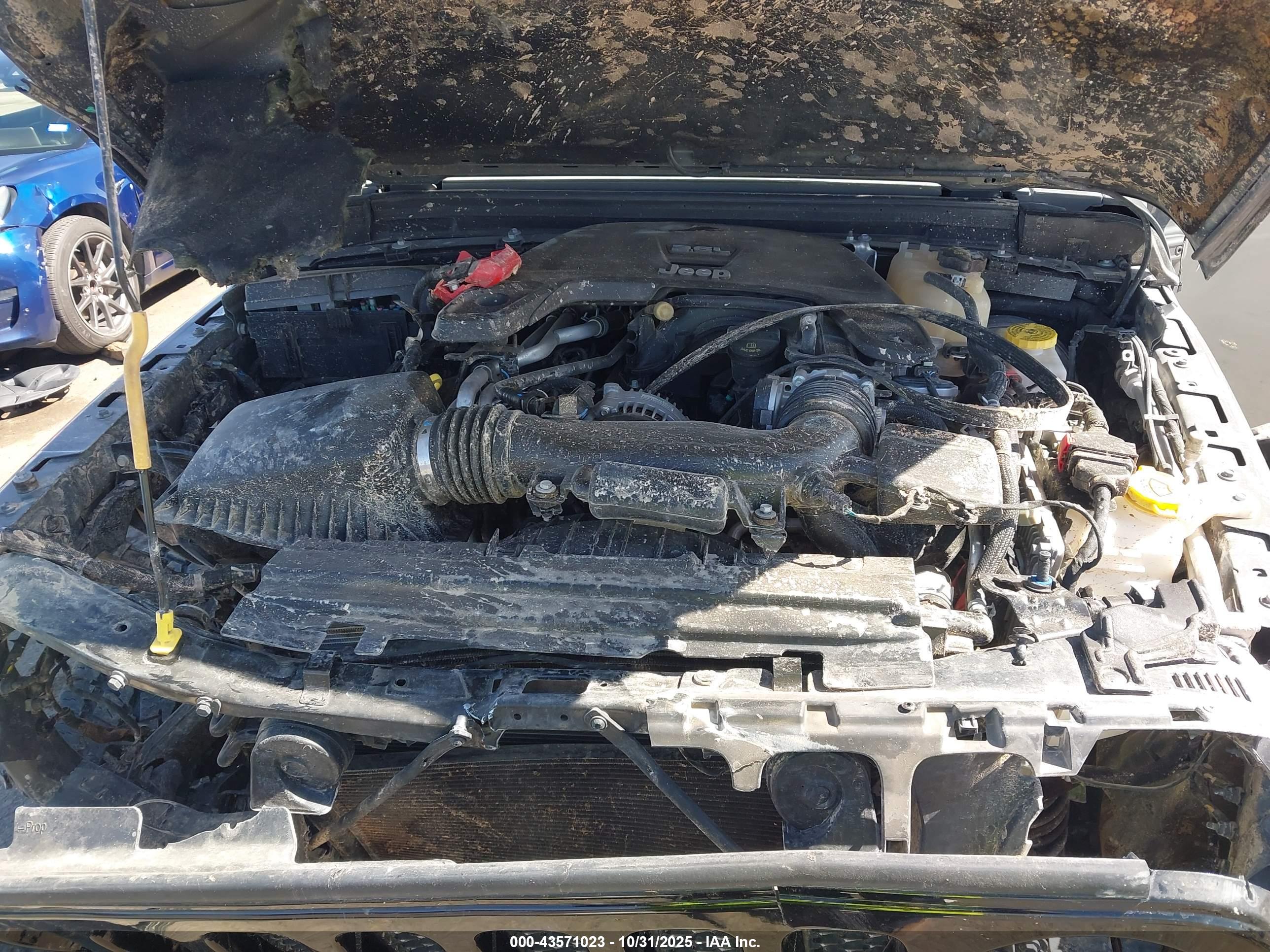 JEEP WRANGLER image 10