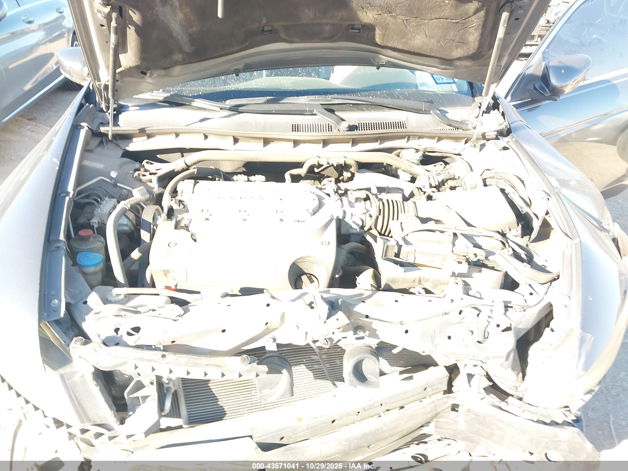 HONDA ACCORD image 10