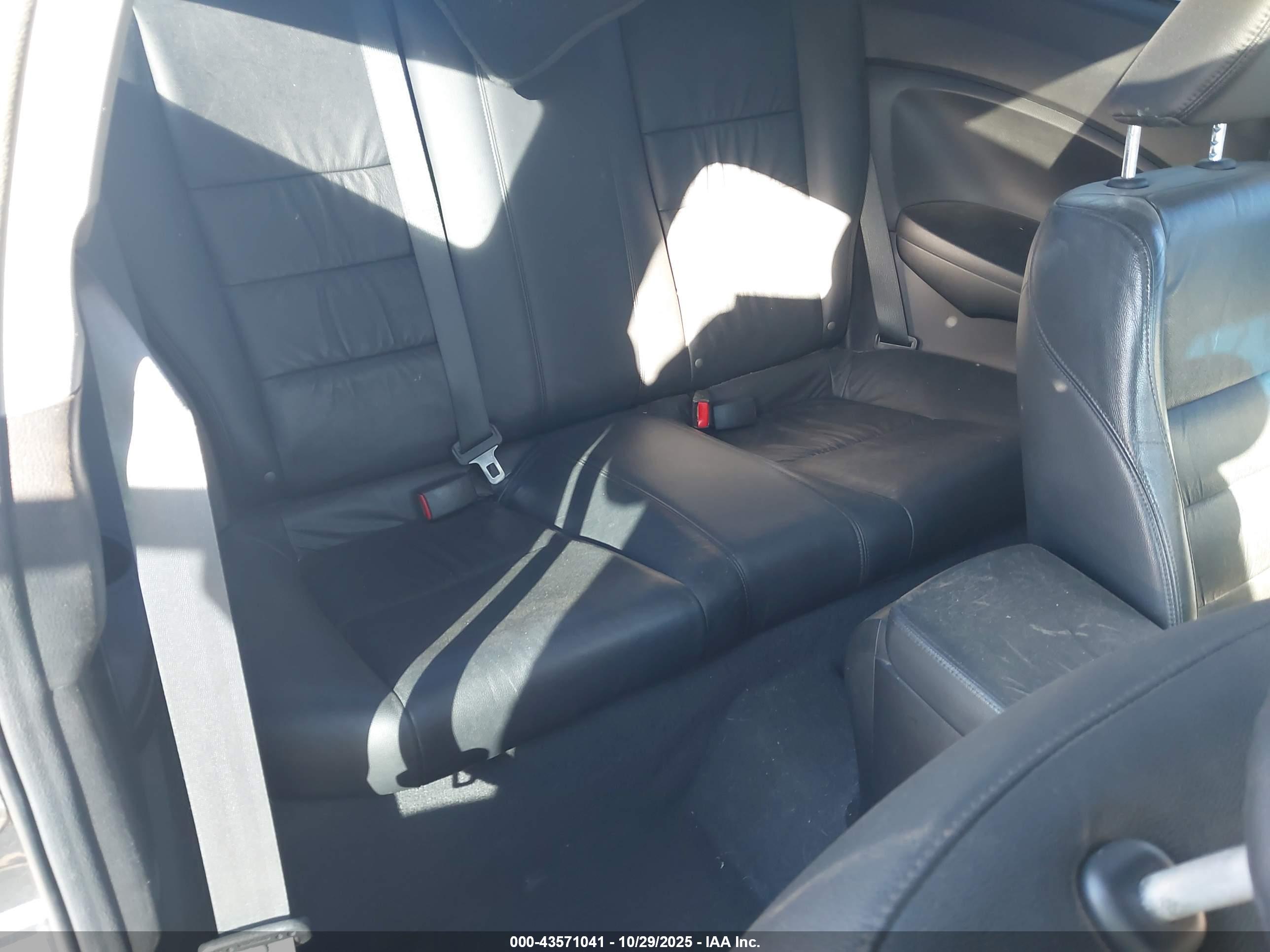 HONDA ACCORD image 8
