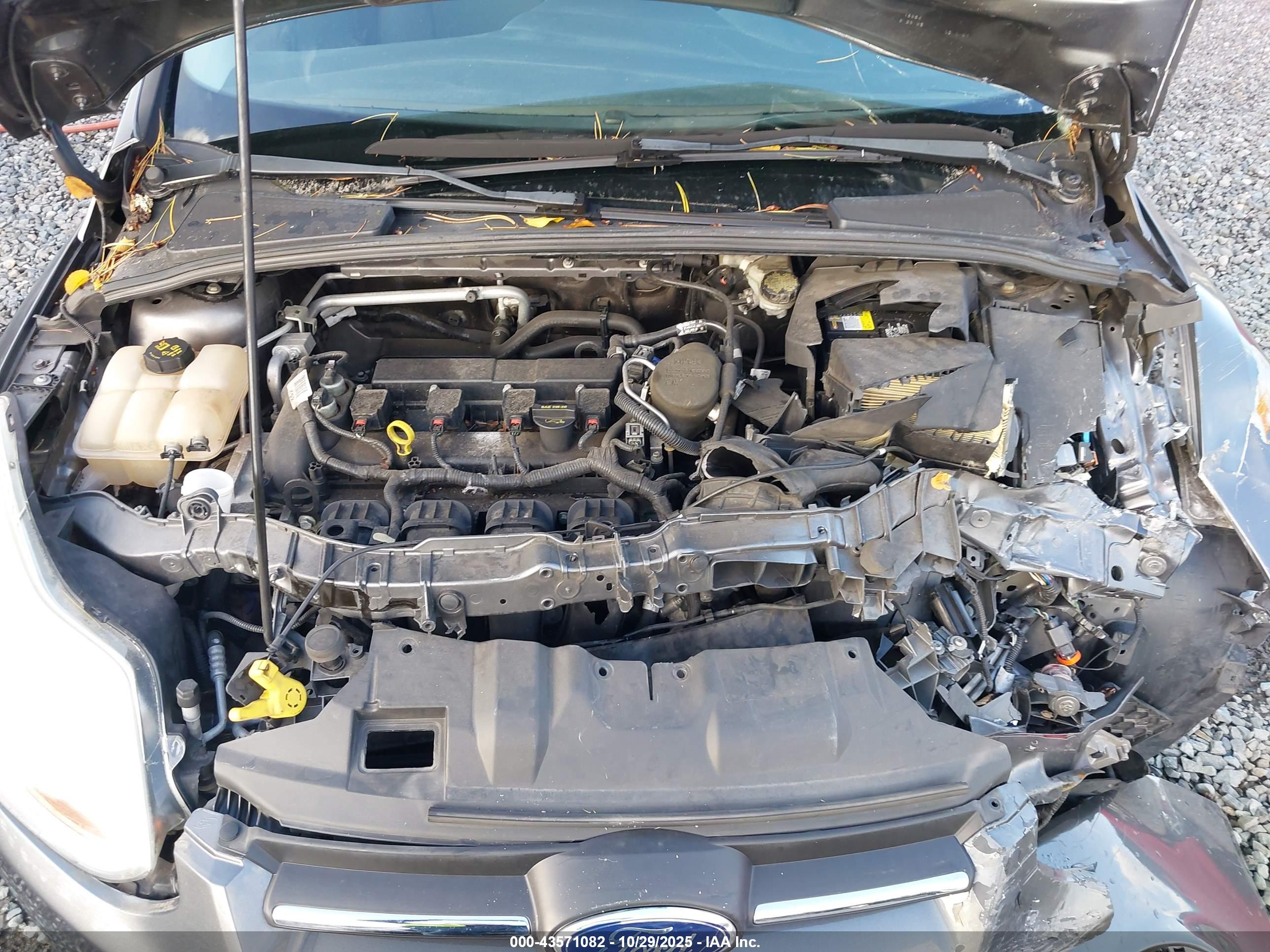 FORD FOCUS image 10