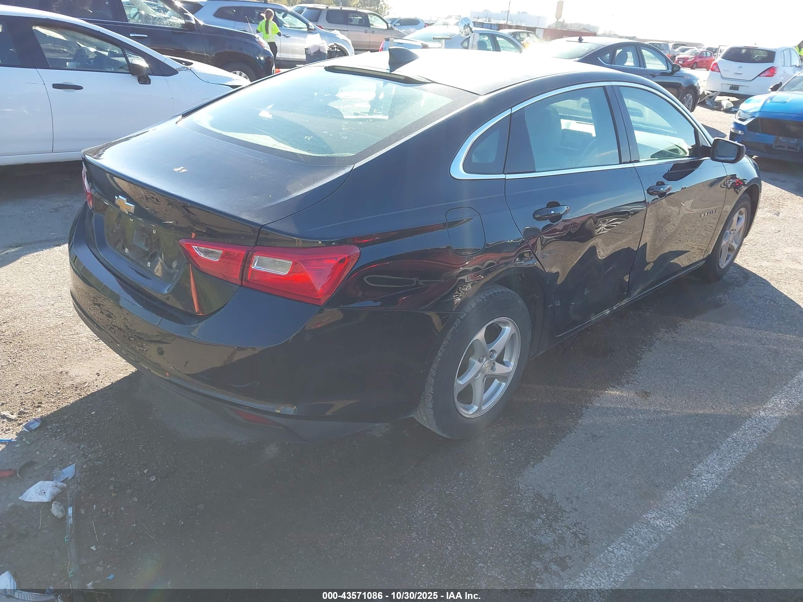 CHEVROLET MALIBU image 4