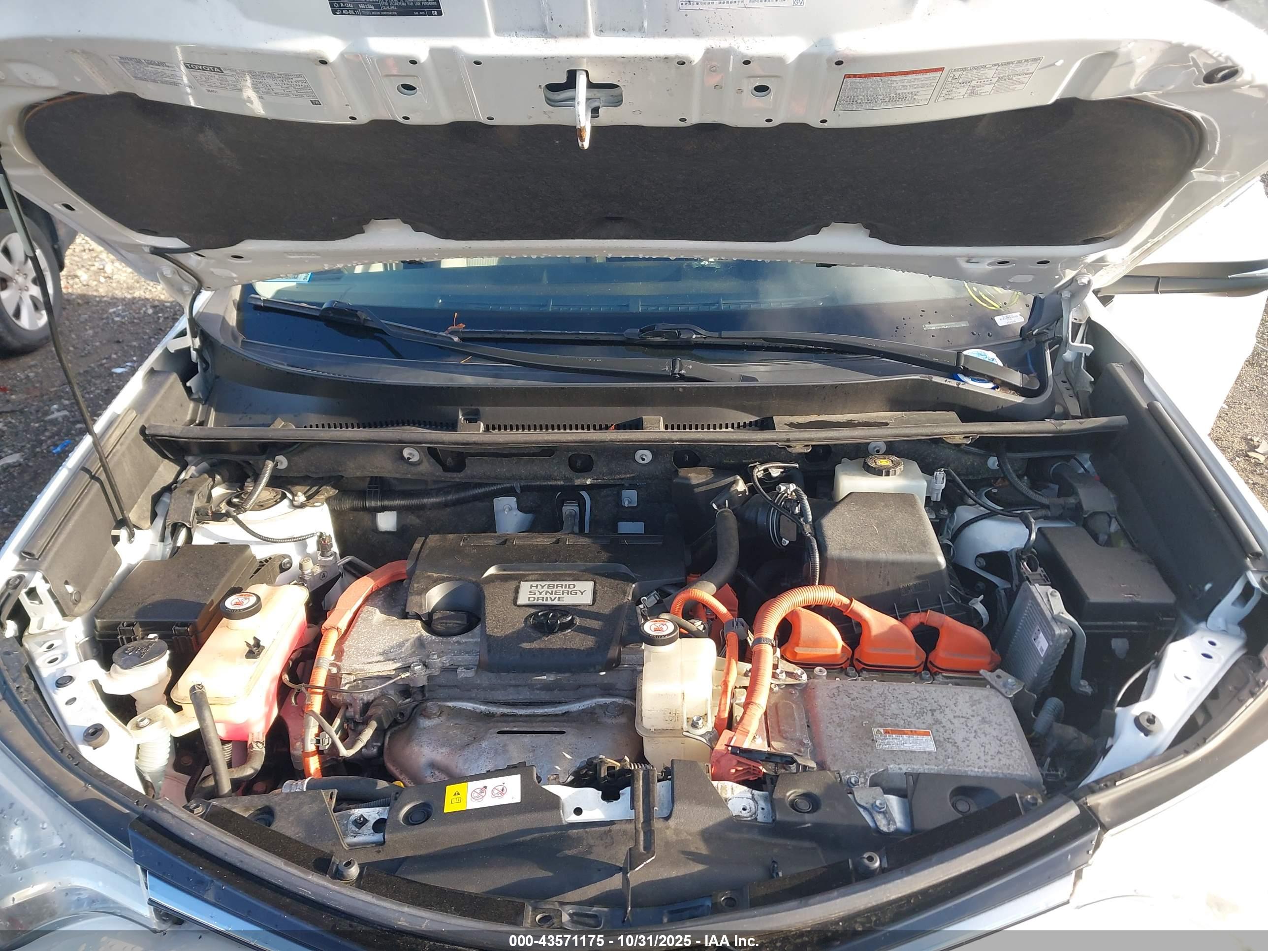 TOYOTA RAV4 image 10