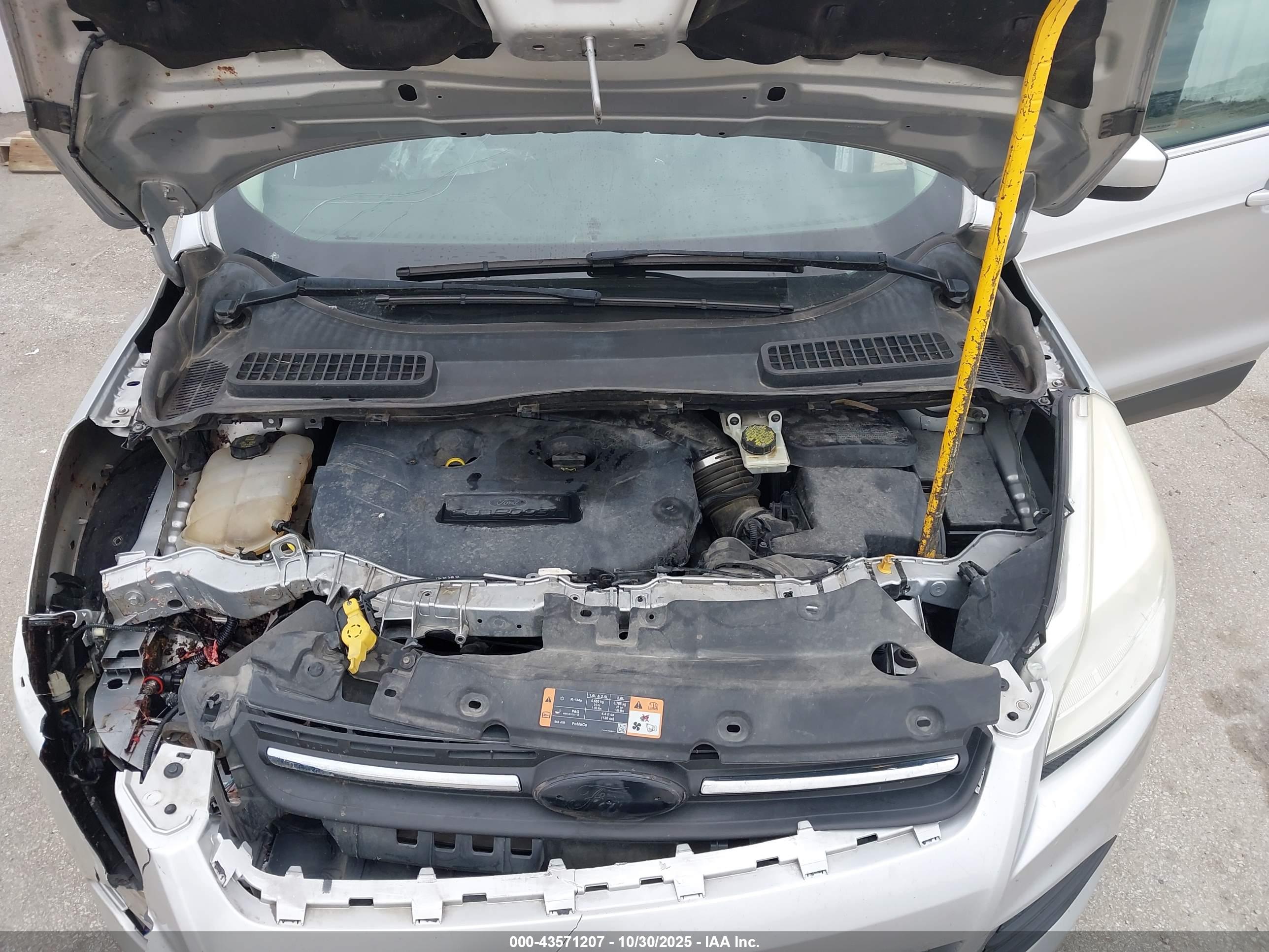 FORD ESCAPE image 10