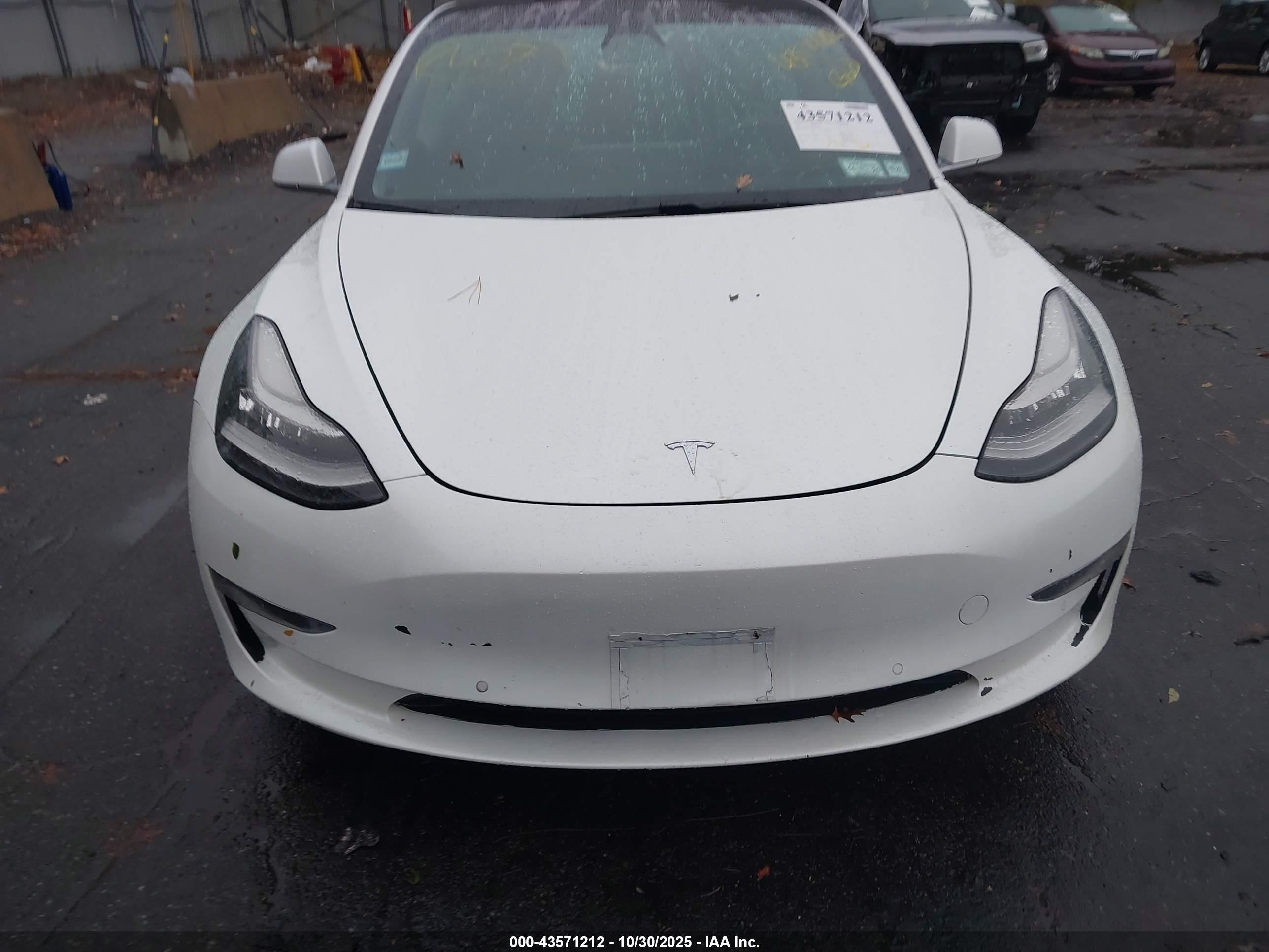 TESLA MODEL image 6