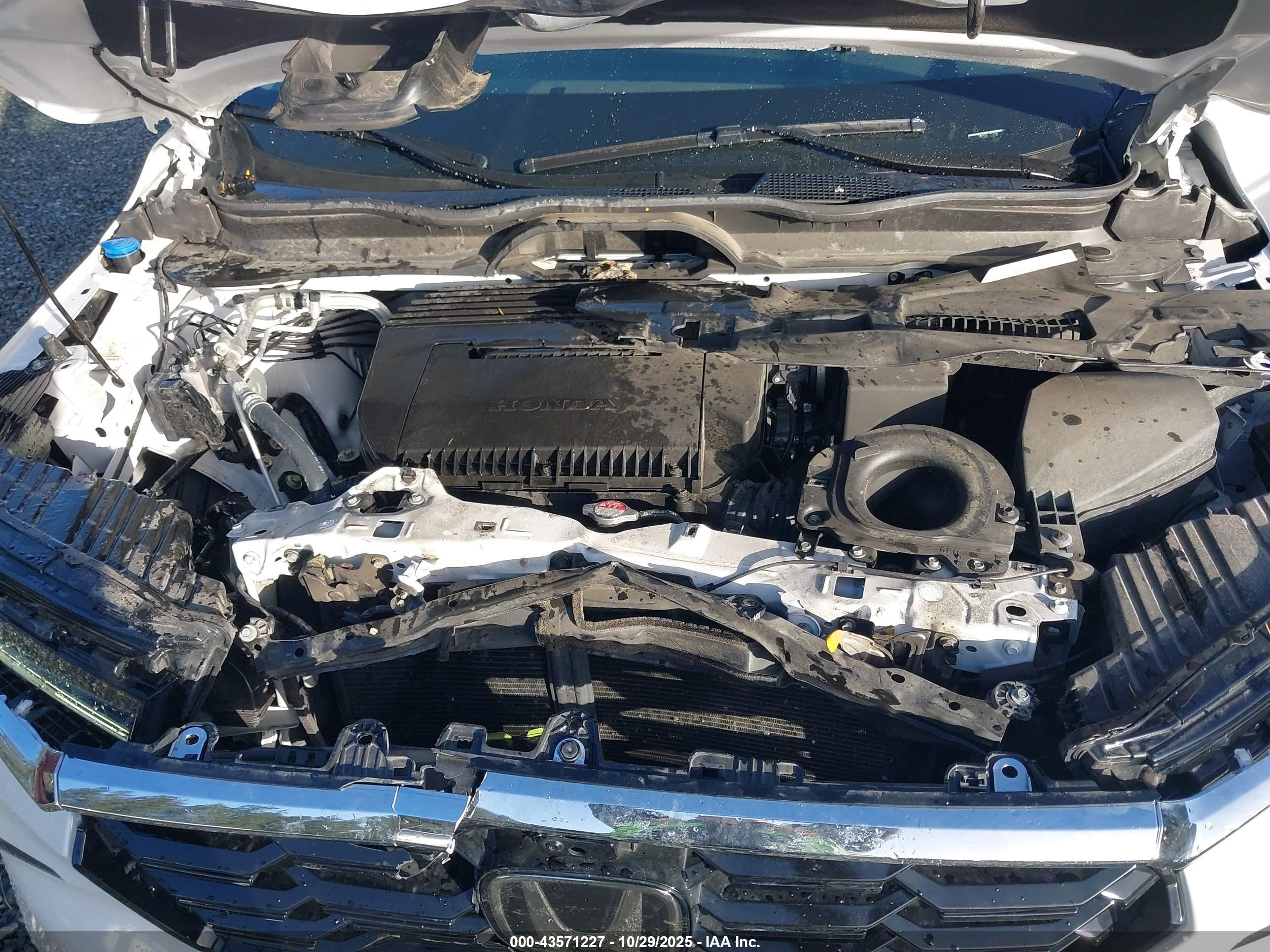 HONDA PILOT image 10