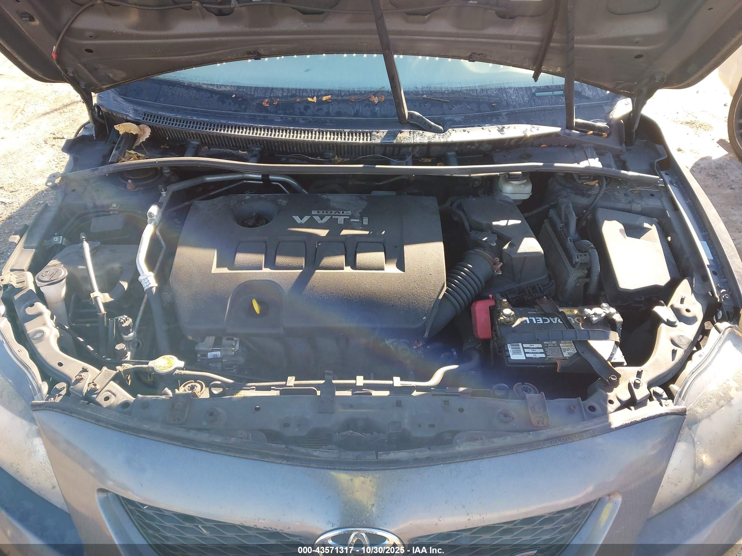 TOYOTA COROLLA image 10