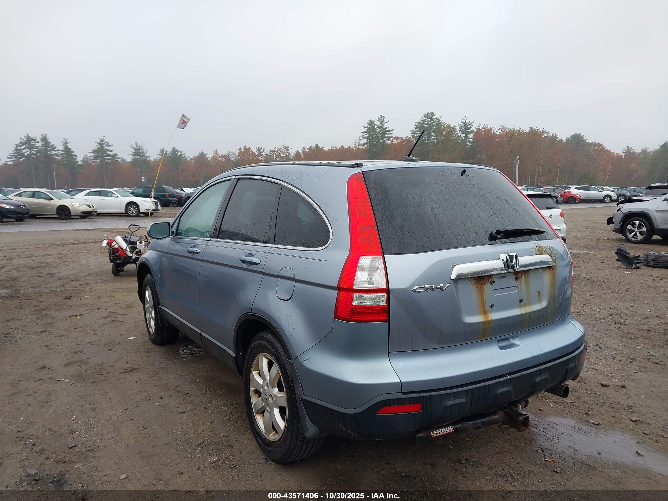 HONDA CR-V image 3