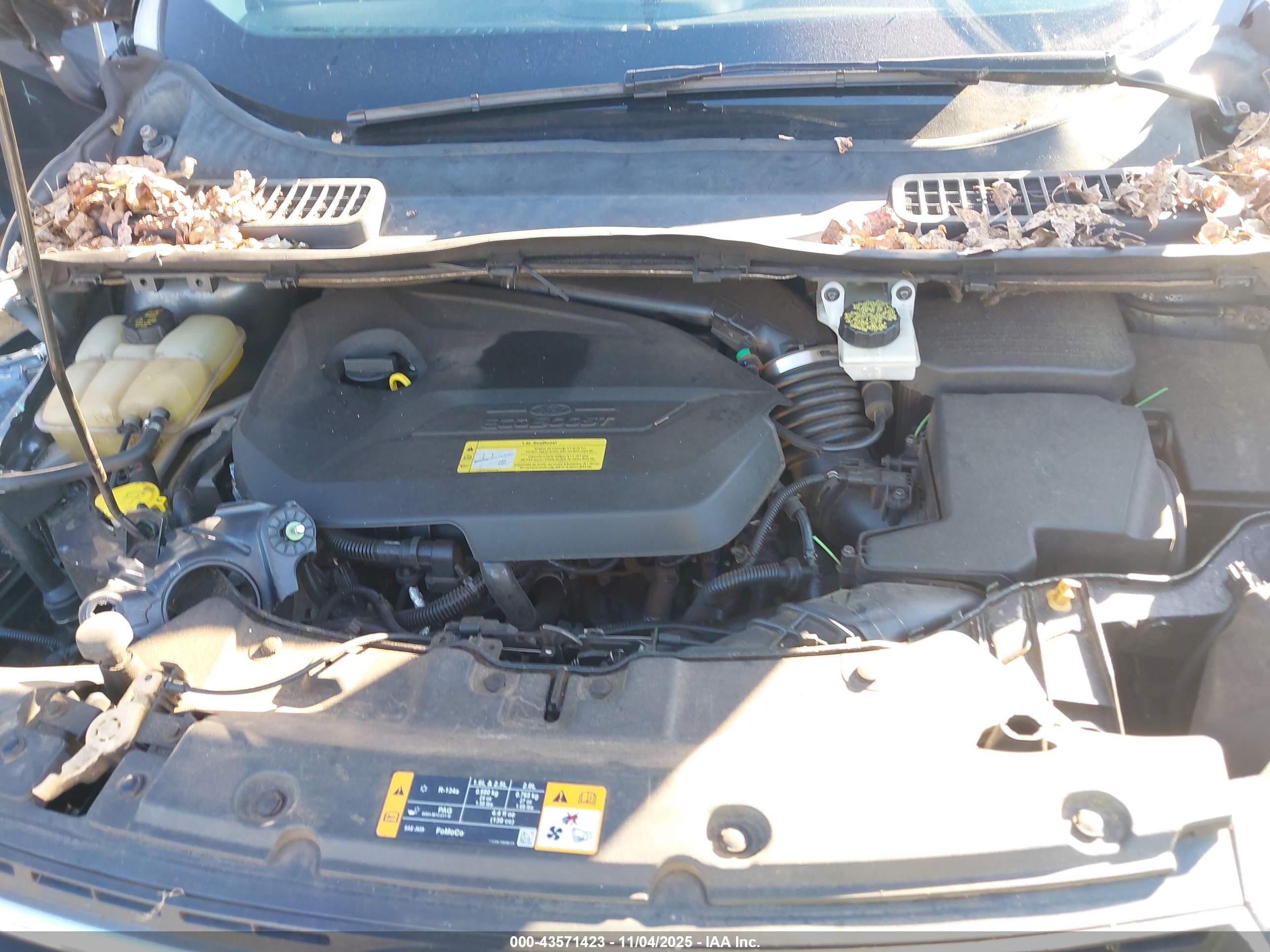 FORD ESCAPE image 10