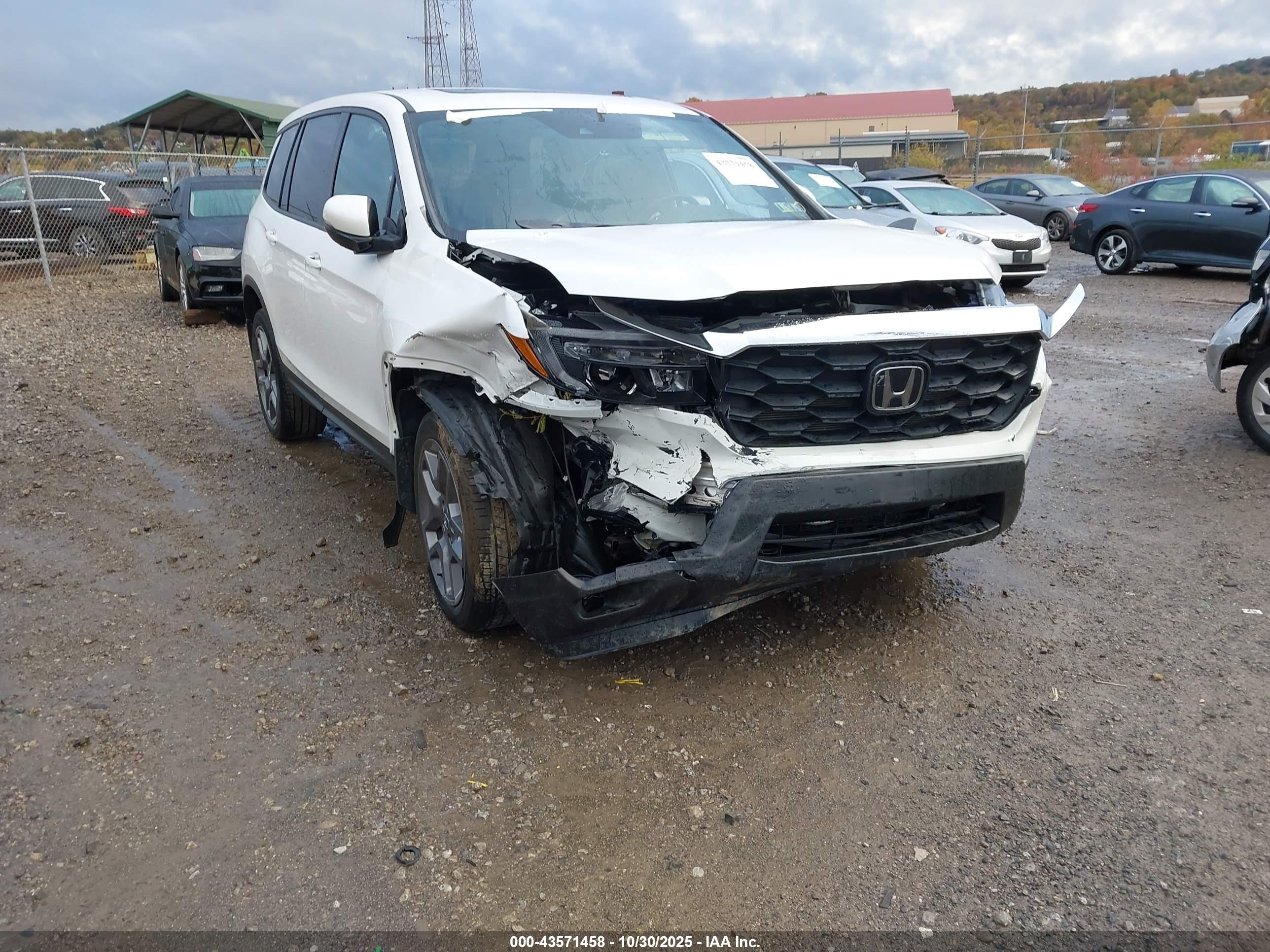 HONDA PASSPORT image 6
