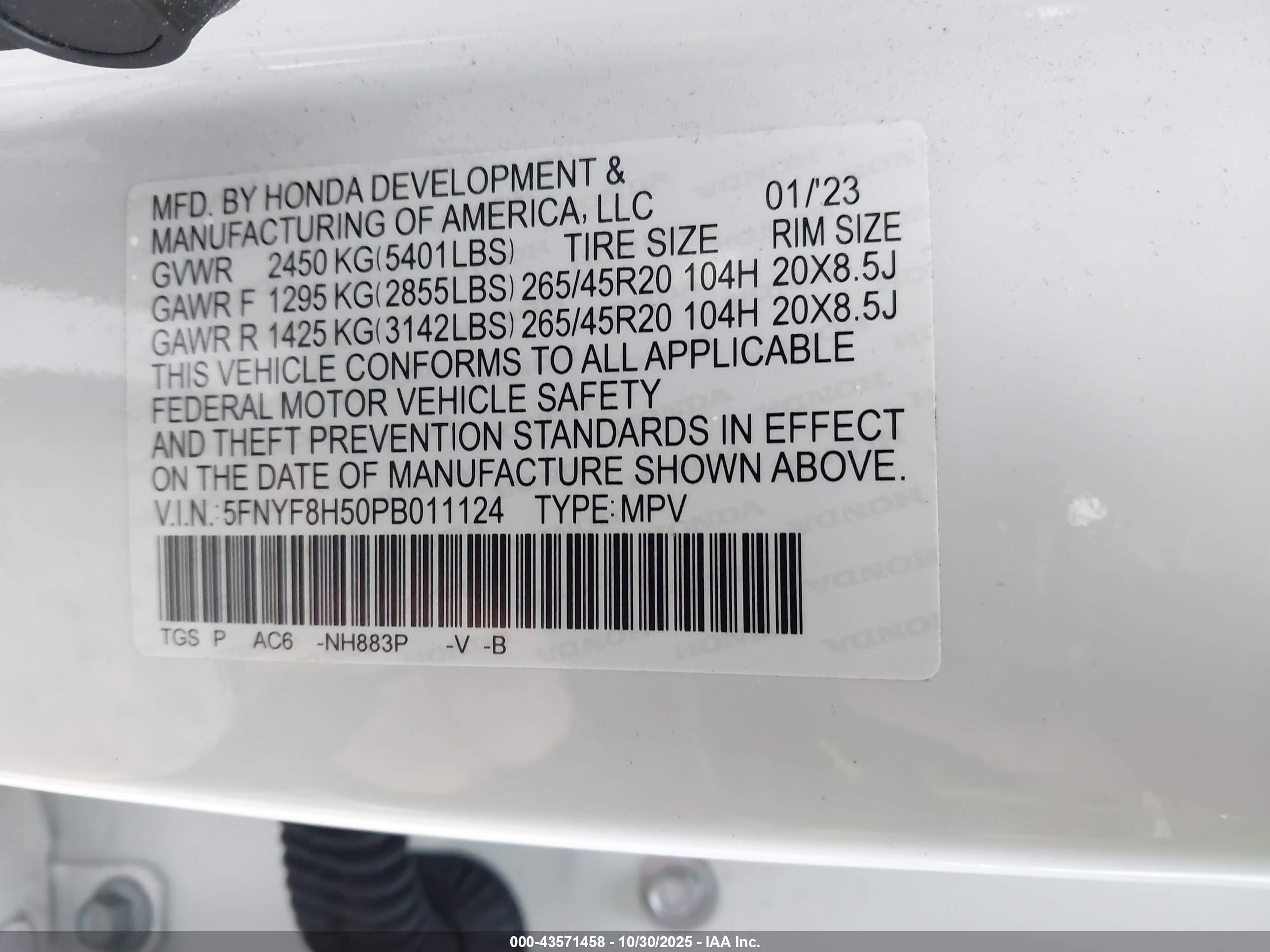 HONDA PASSPORT image 9