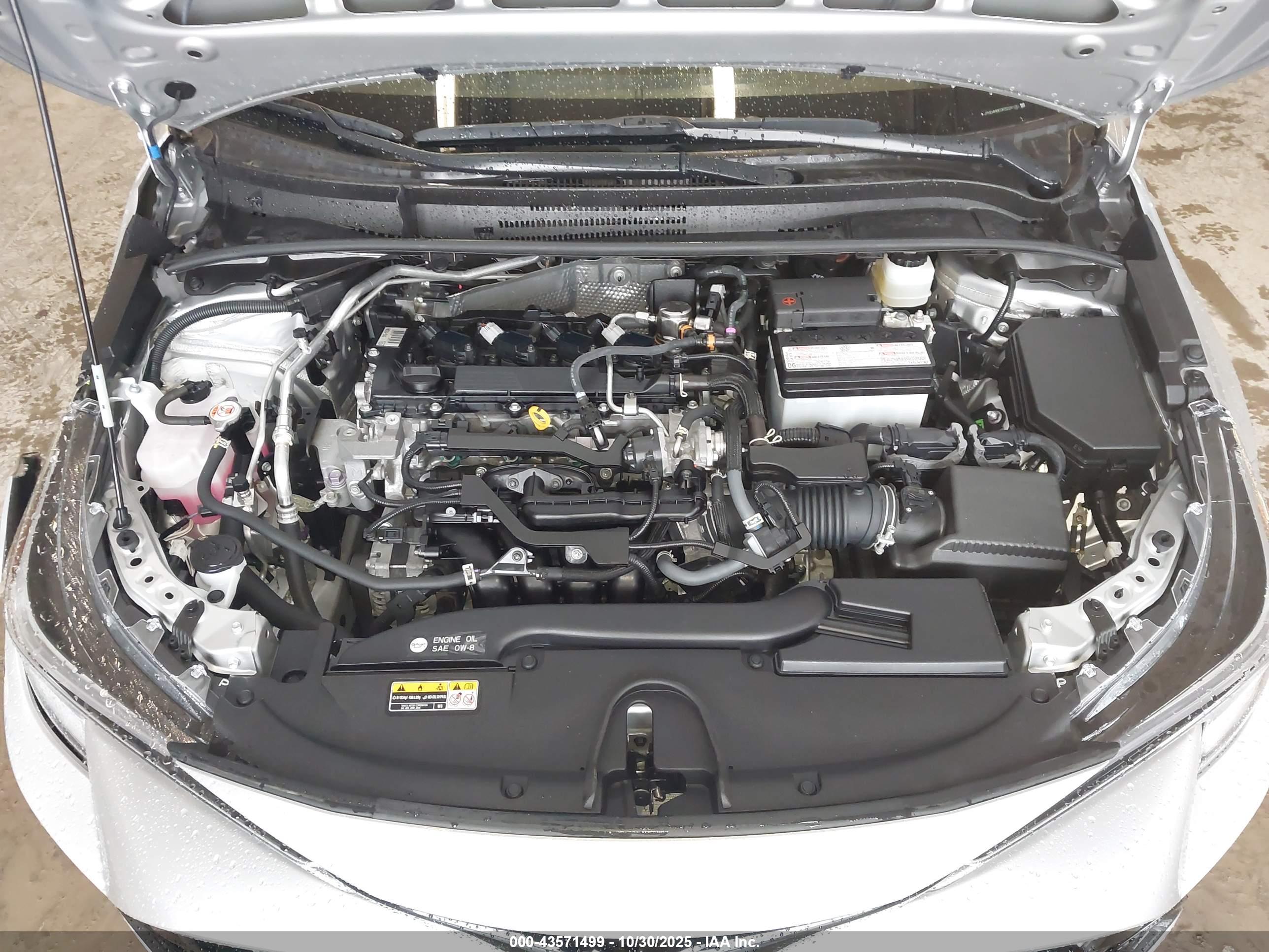 TOYOTA COROLLA image 10