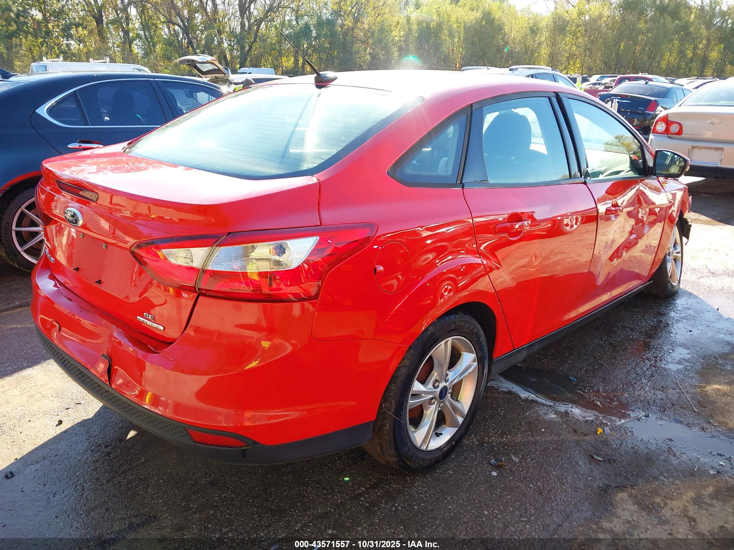 FORD FOCUS image 4