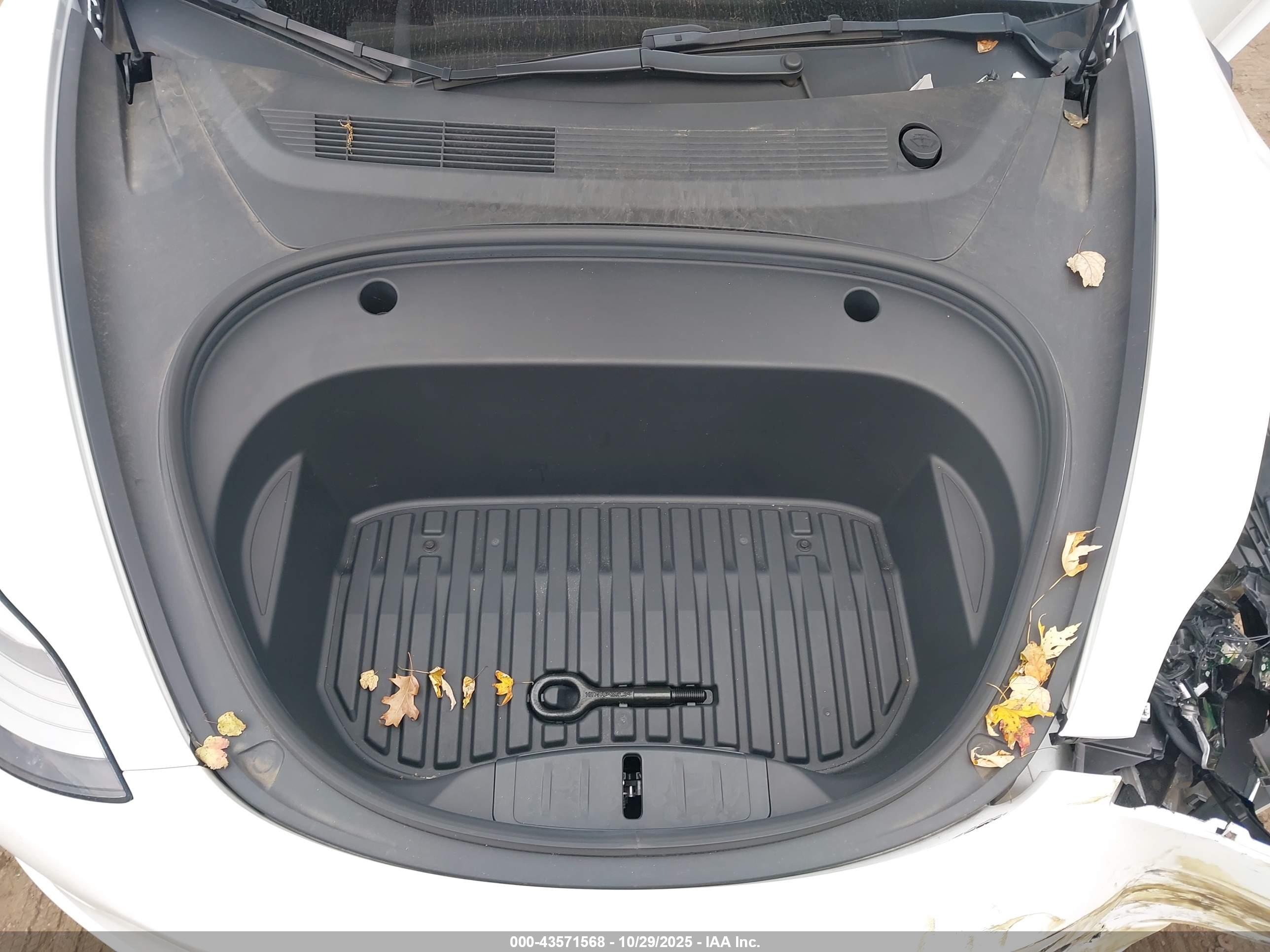 TESLA MODEL image 10