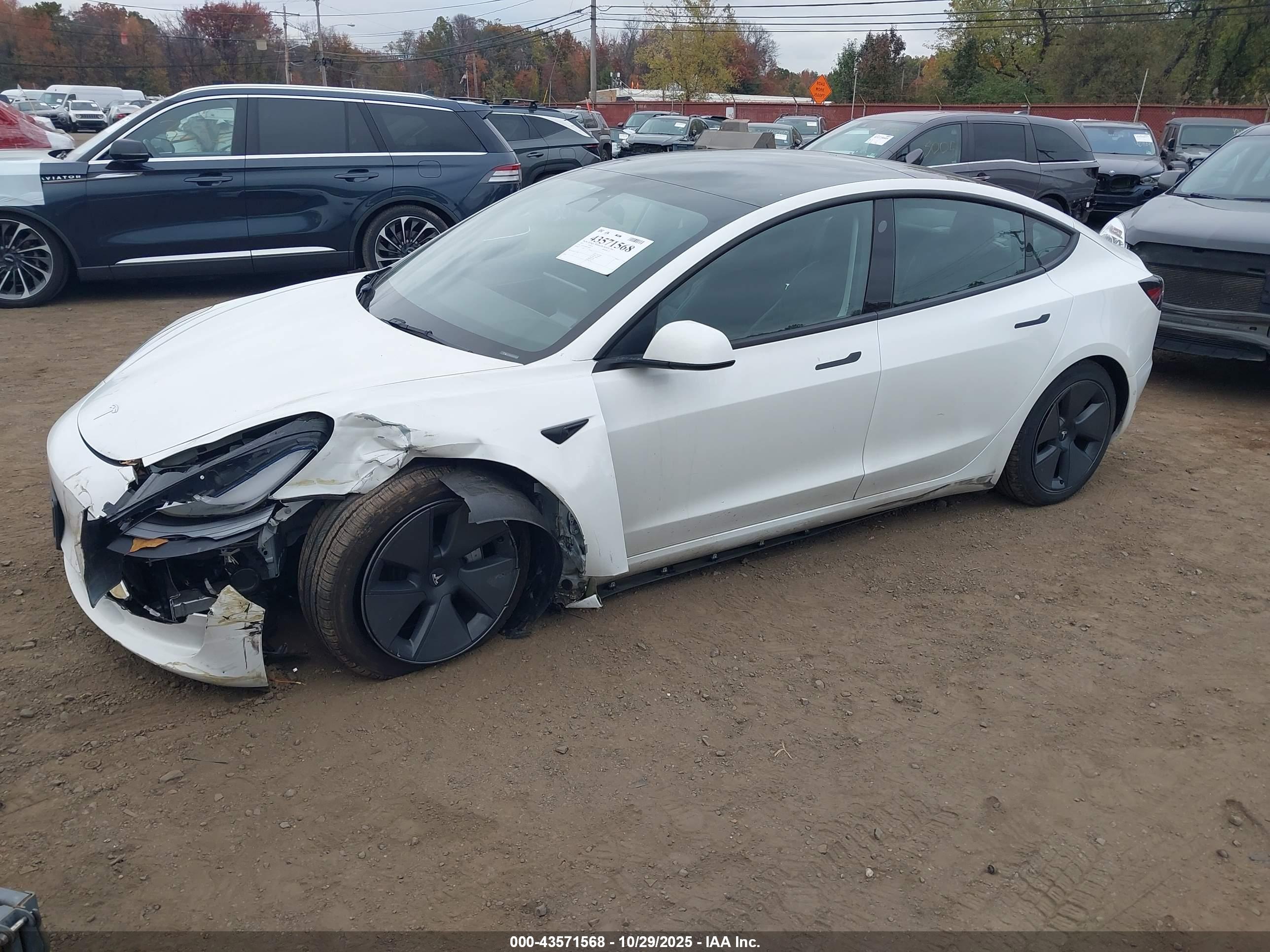 TESLA MODEL image 6