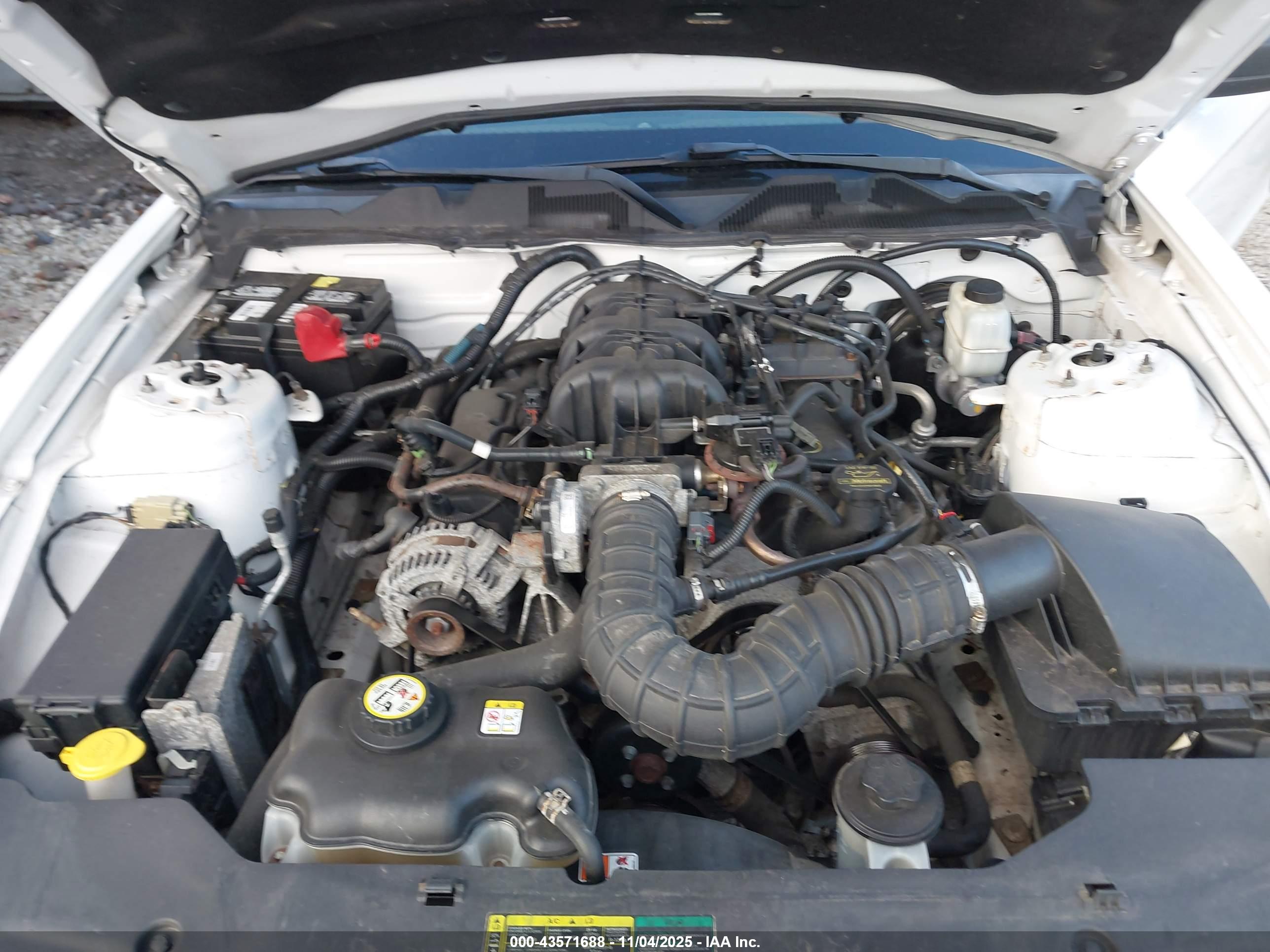 FORD MUSTANG image 10