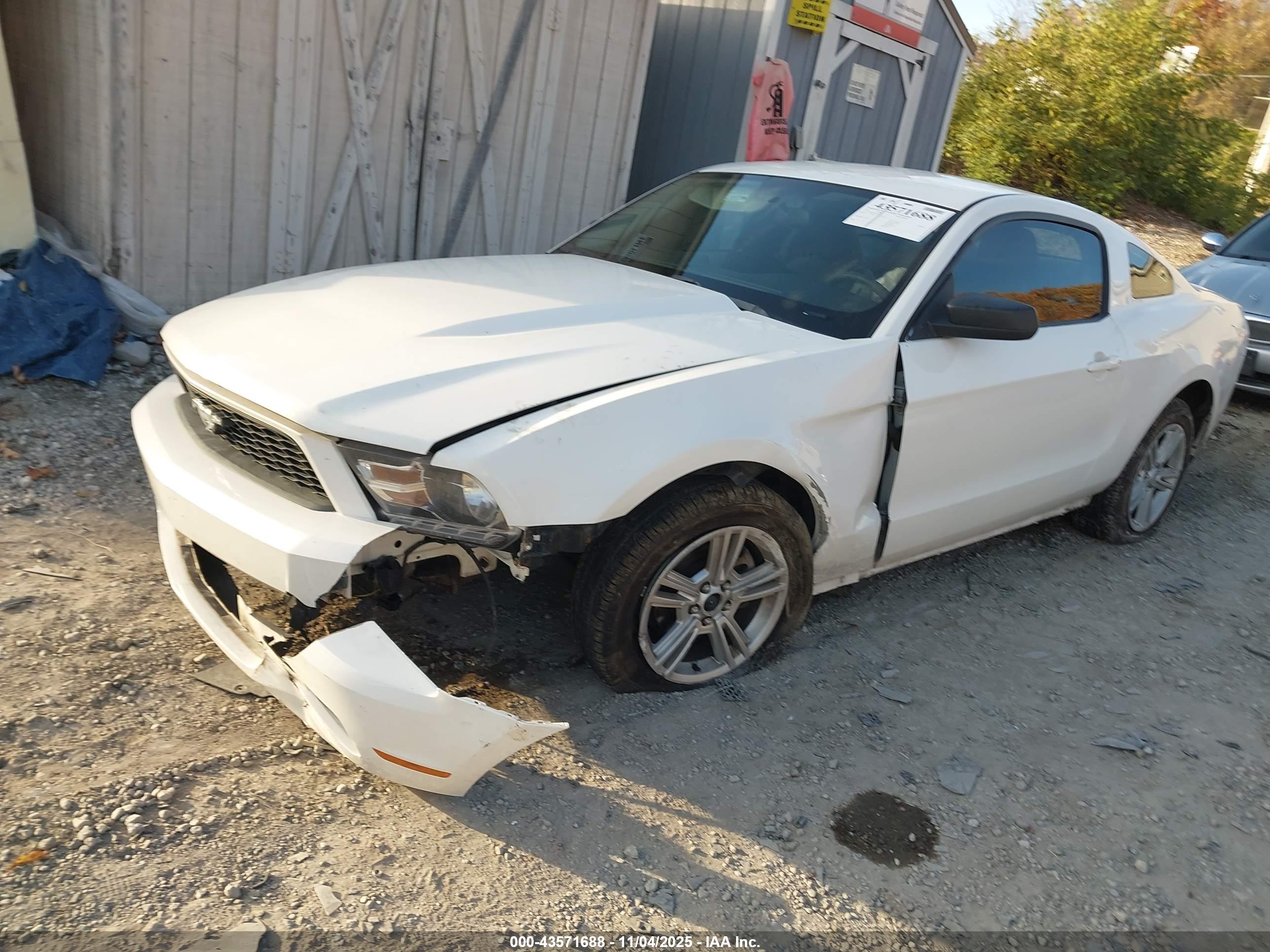 FORD MUSTANG image 2