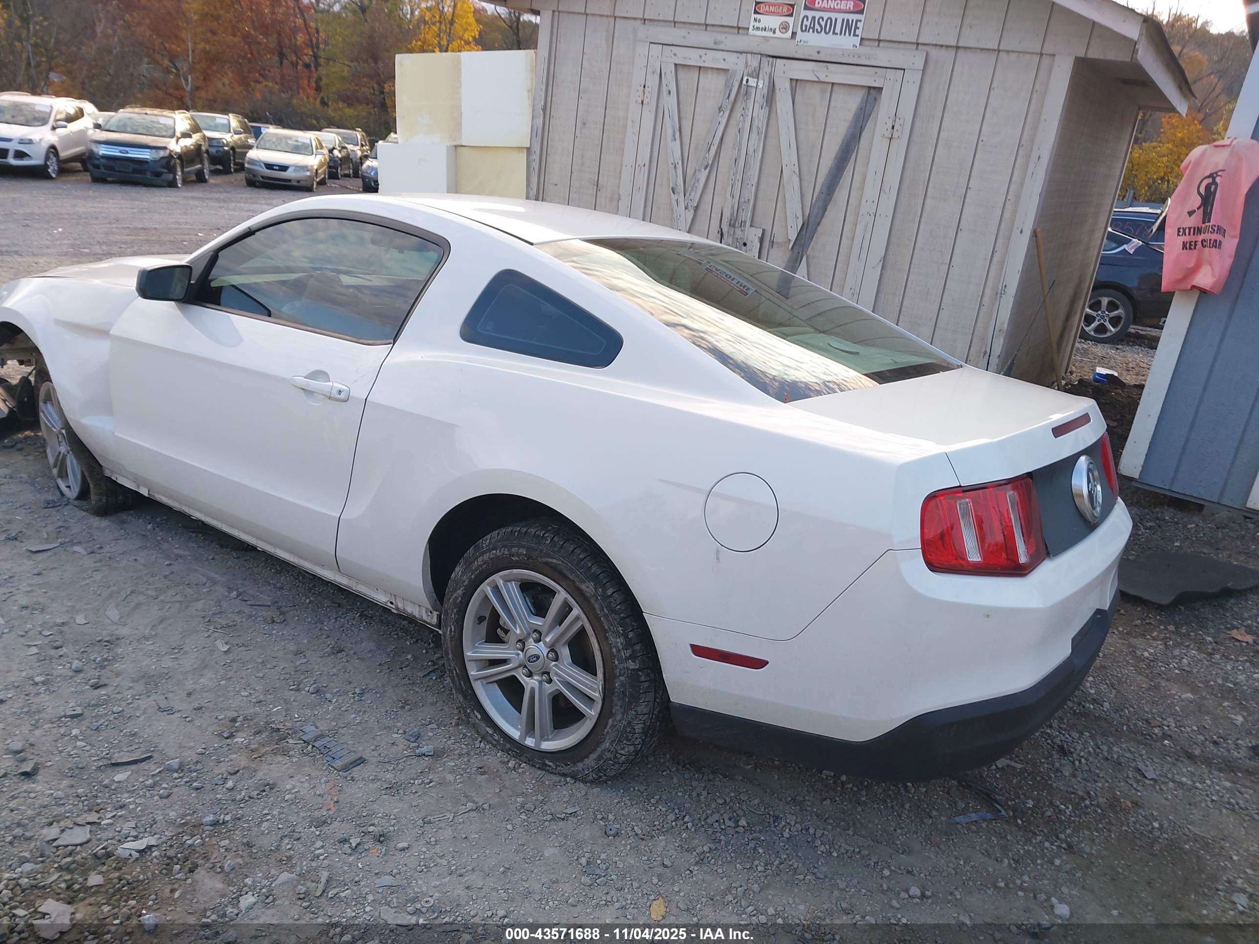 FORD MUSTANG image 3