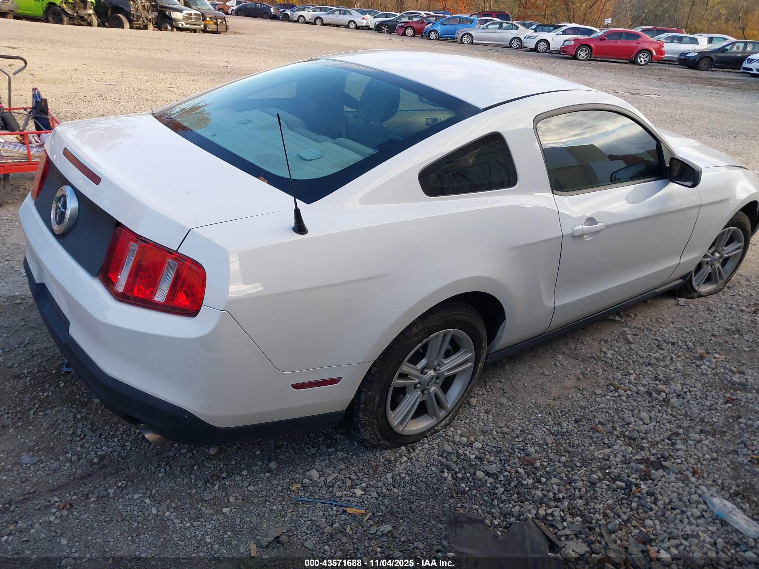 FORD MUSTANG image 4