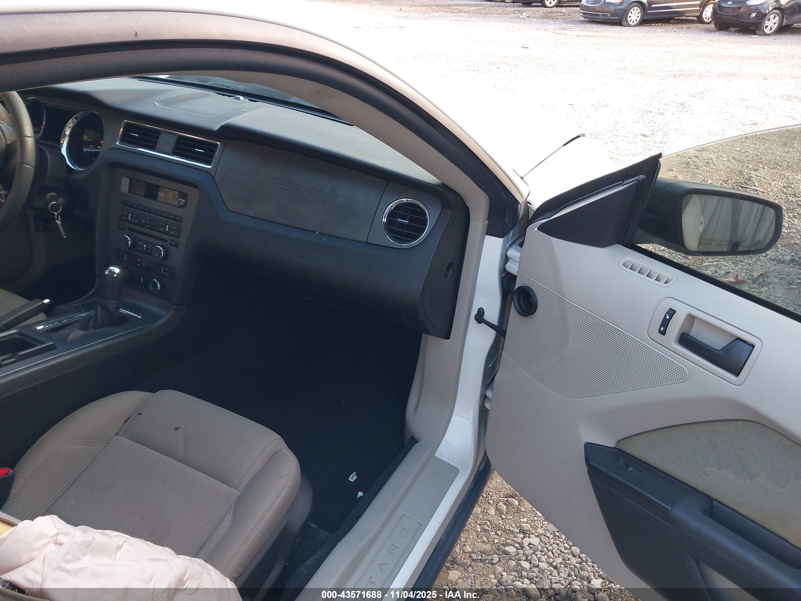 FORD MUSTANG image 5